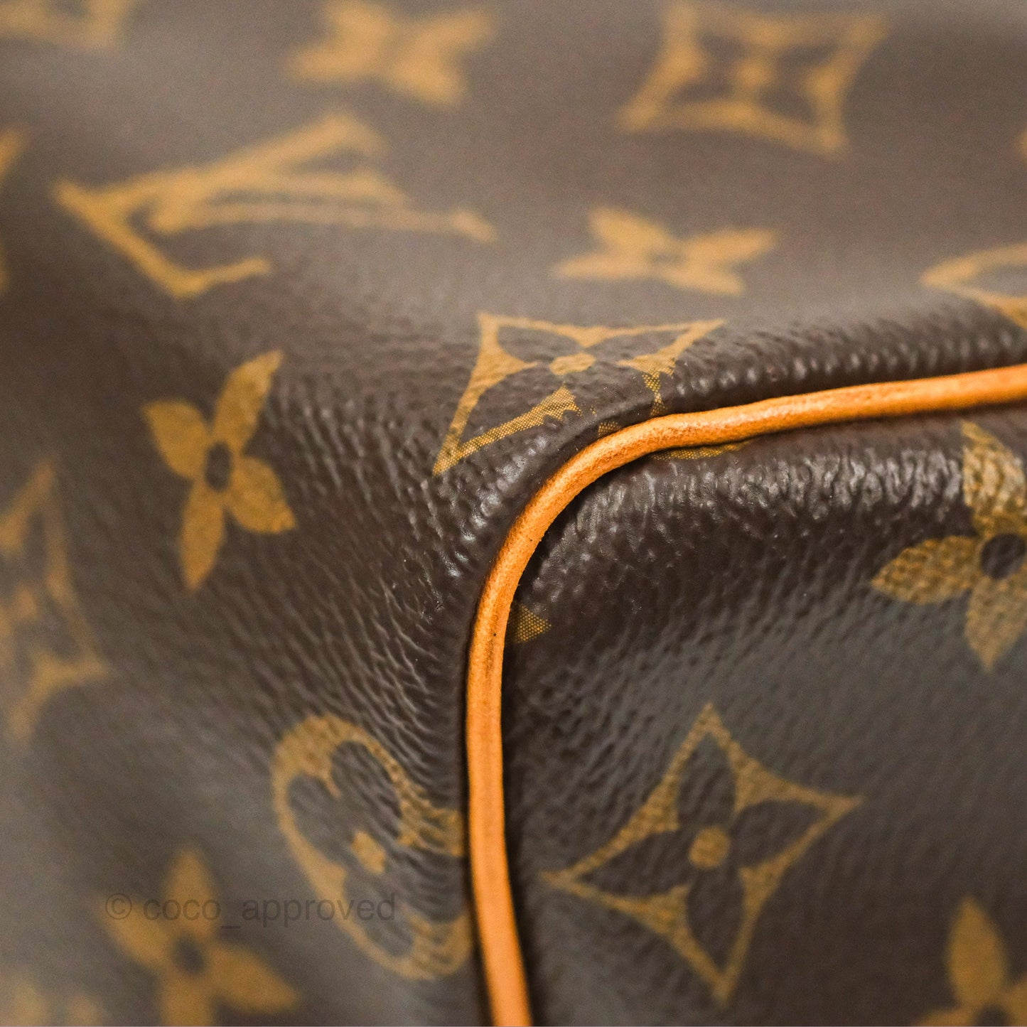 Louis Vuitton Speedy 25 Monogram Canvas