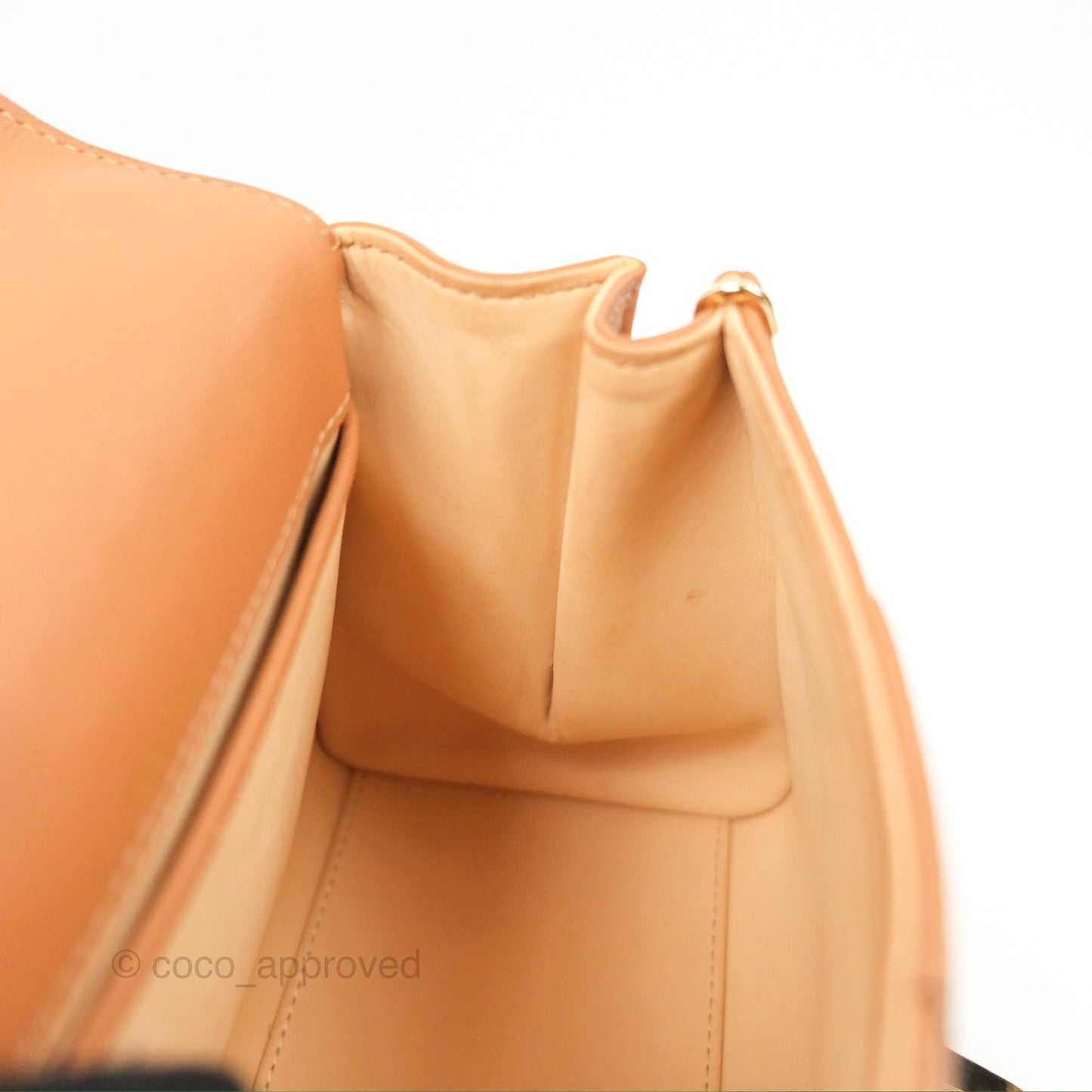 Delvaux Mini Brillant Bag Vegetal Rodeo Calf Gold Hardware