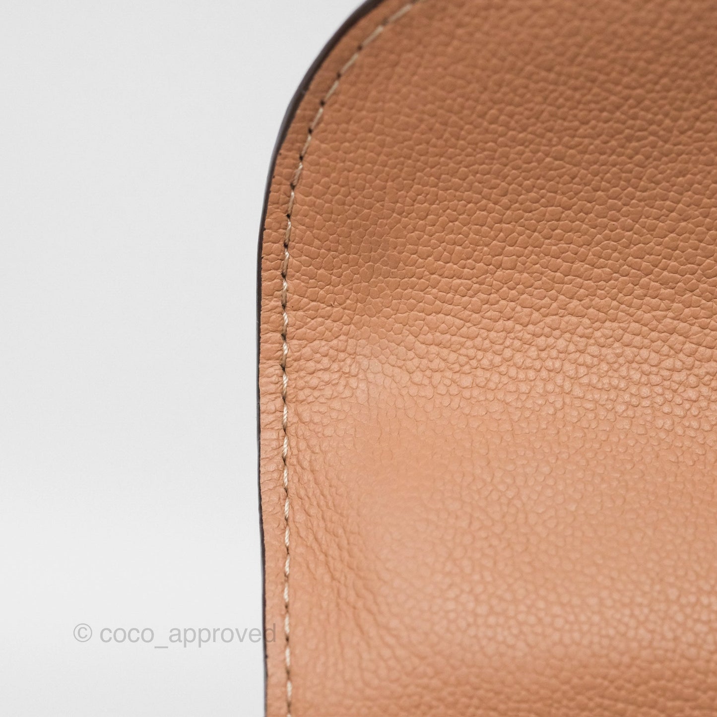 Delvaux Mini Brillant Bag Nude Grained Calfskin Gold Hardware