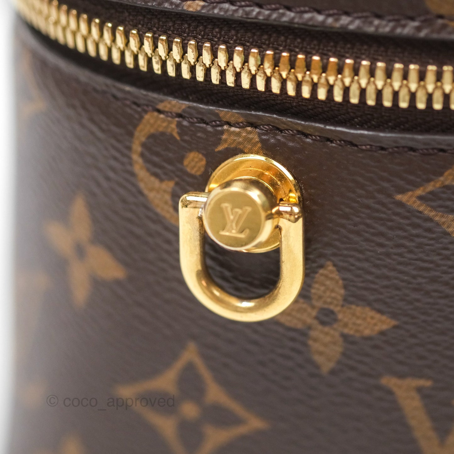 Louis Vuitton Reverse Monogram Vanity PM