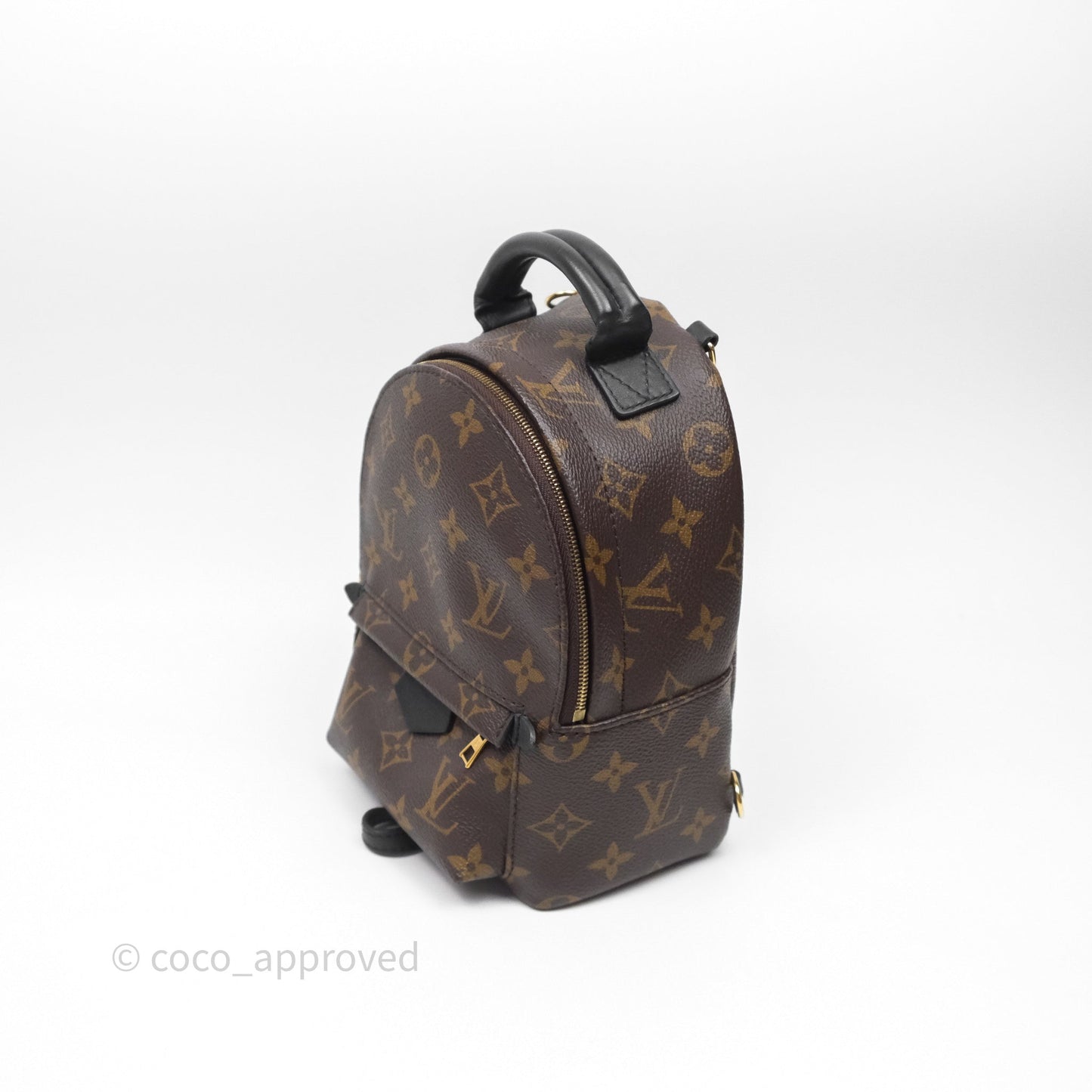 Louis Vuitton Mini Palm Springs Backpack⁣ Monogram