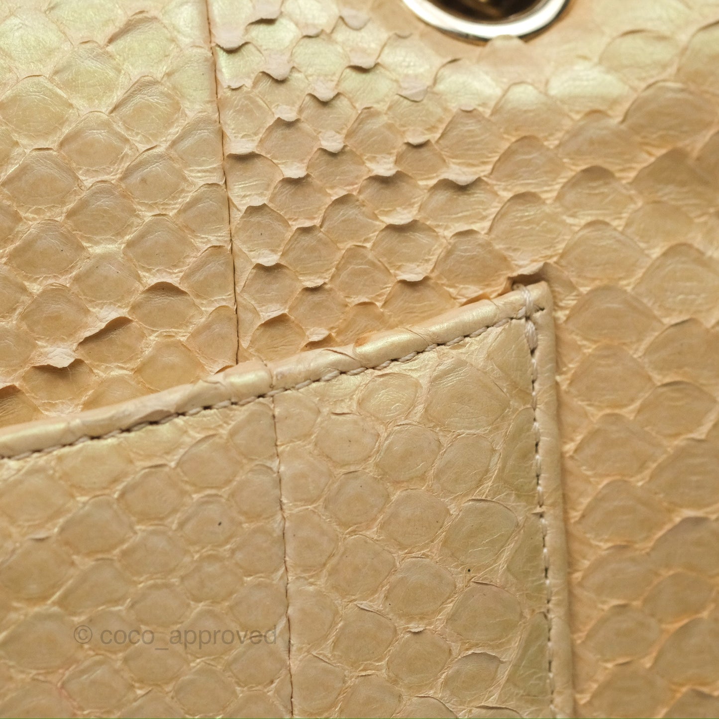 Chanel Jumbo Double Flap Iridescent Gold Python Gold Hardware⁣⁣