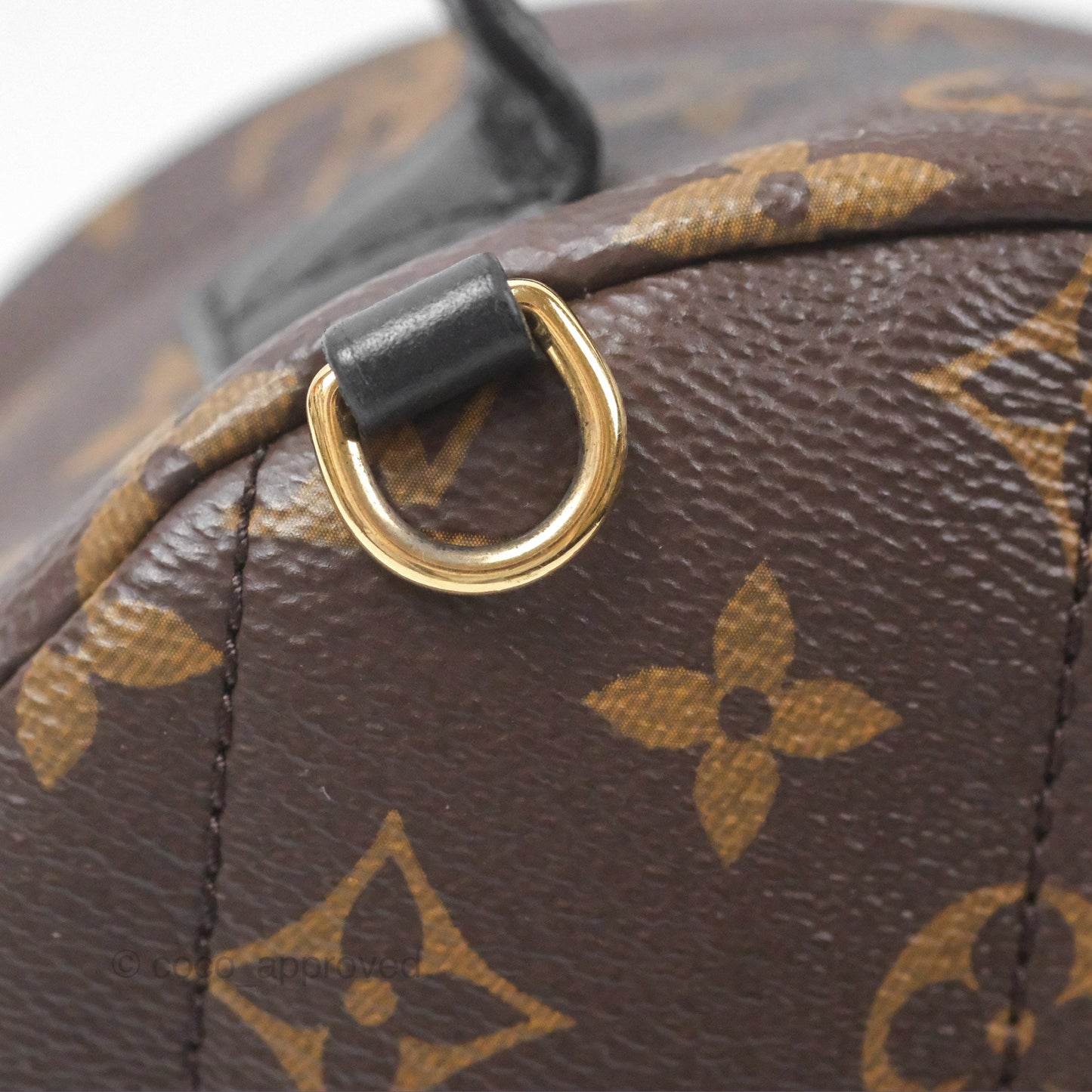 Louis Vuitton Monogram Mini Palm Springs Backpack⁣