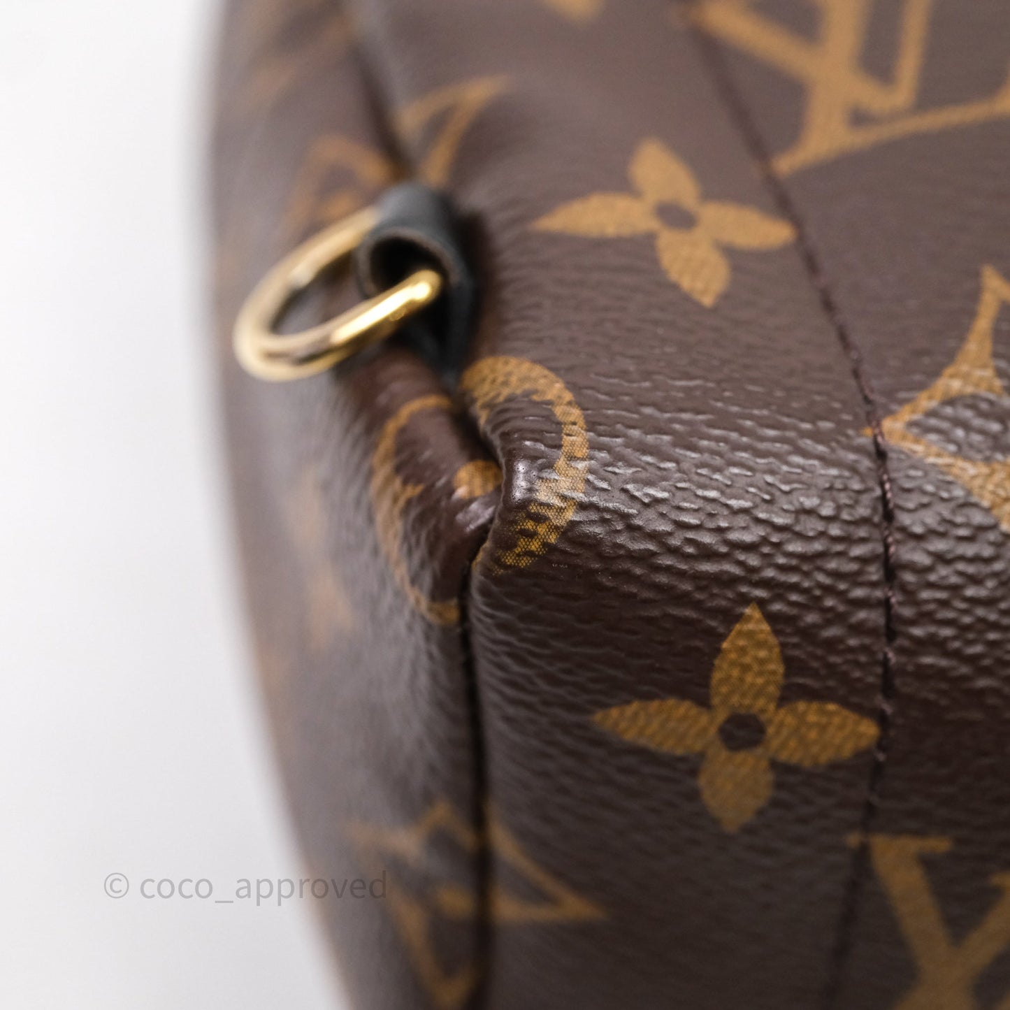 Louis Vuitton Mini Palm Springs Backpack⁣ Monogram