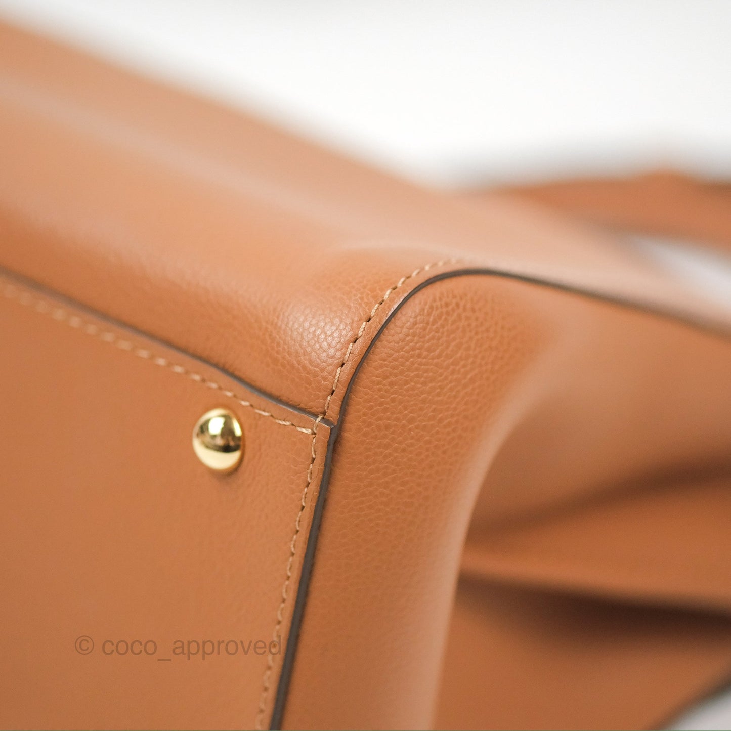 Delvaux Mini Brillant Bag Vegetal Rodeo Calf Gold Hardware