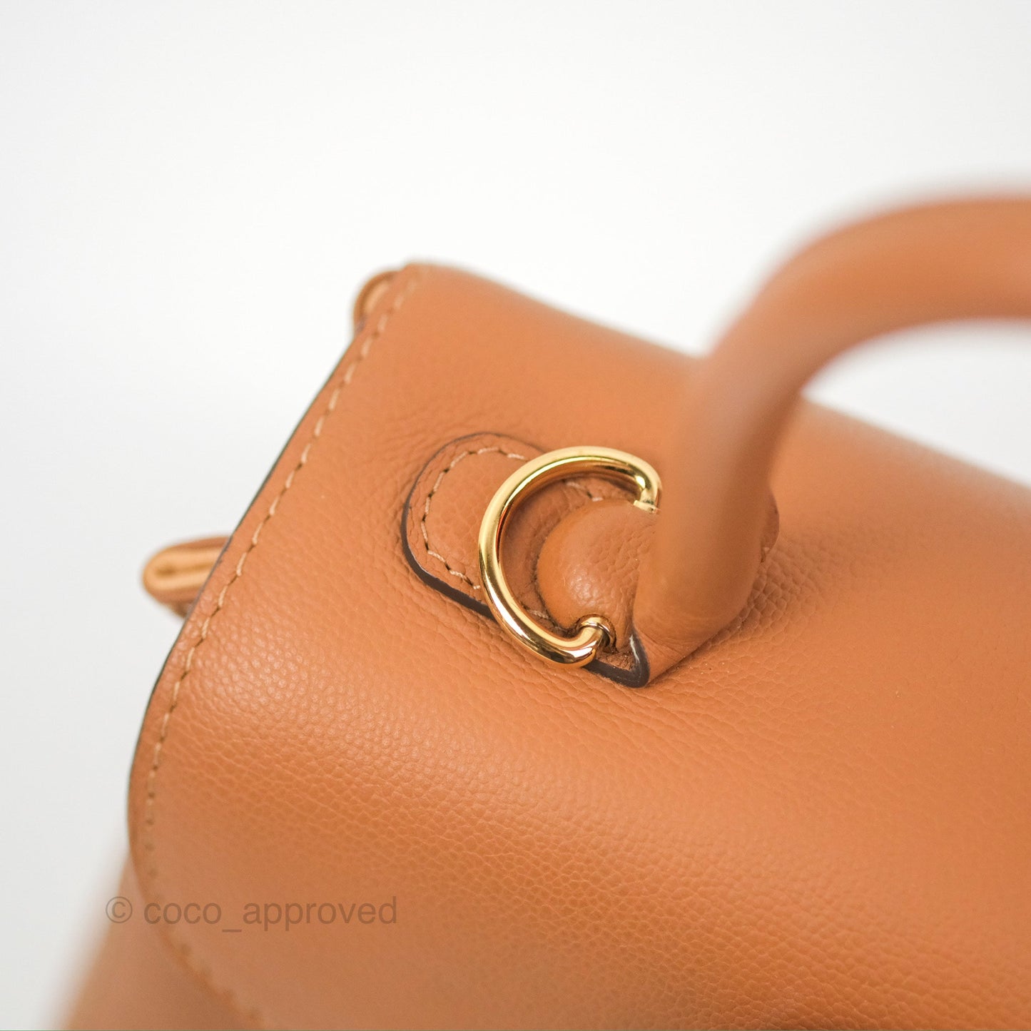 Delvaux Mini Brillant Bag Vegetal Rodeo Calf Gold Hardware