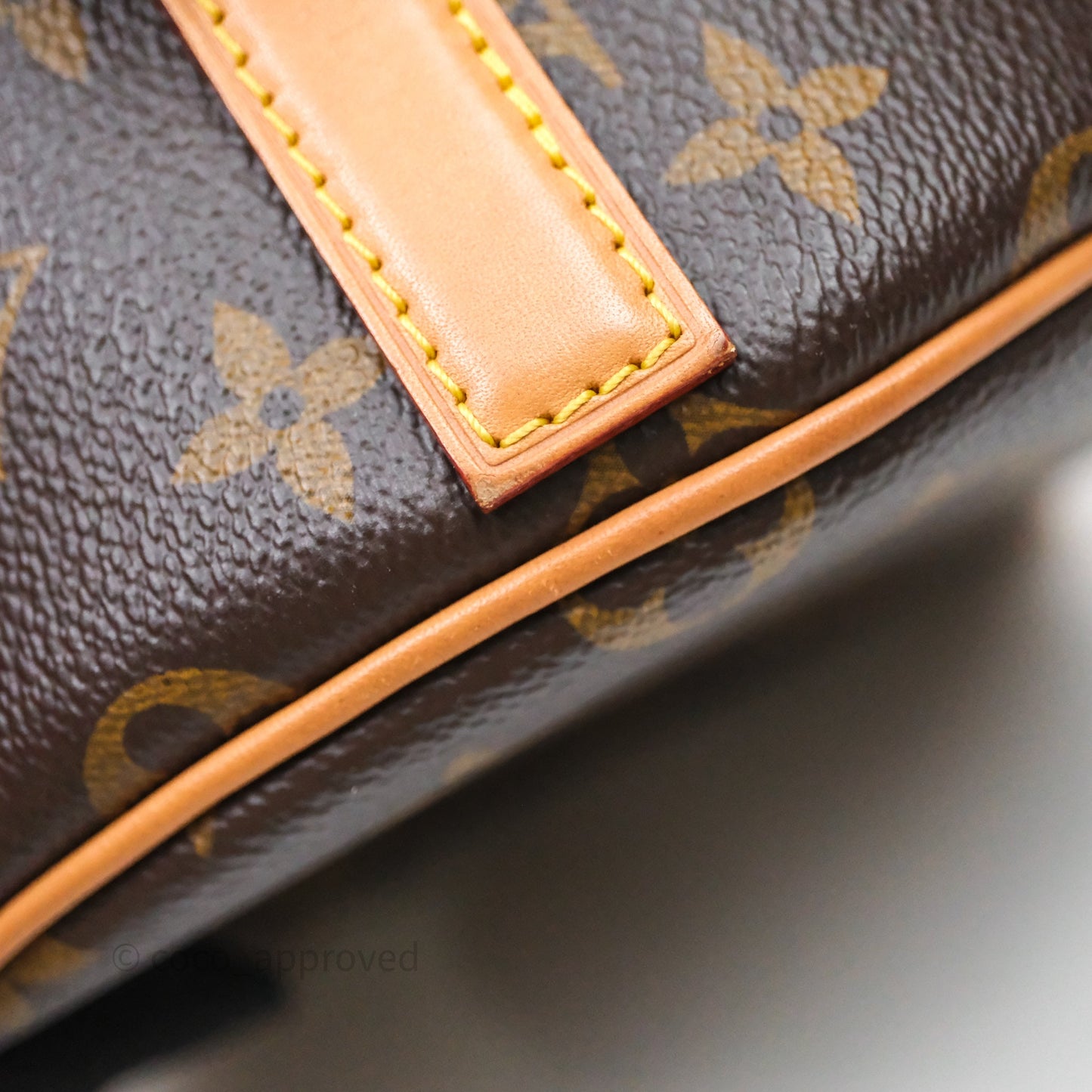 Louis Vuitton Tambourin Monogram Canvas Bag