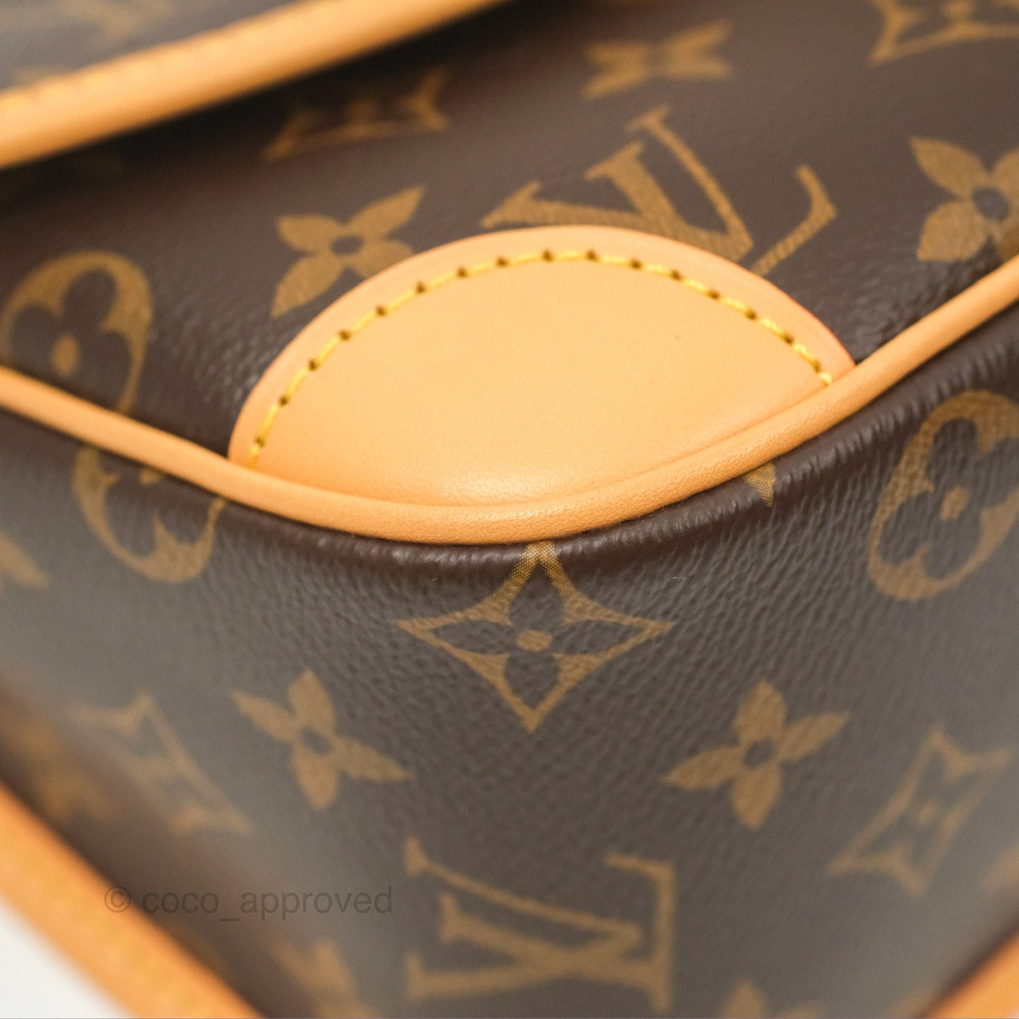 Louis Vuitton Diane Bag Monogram Canvas with Jacquard Strap
