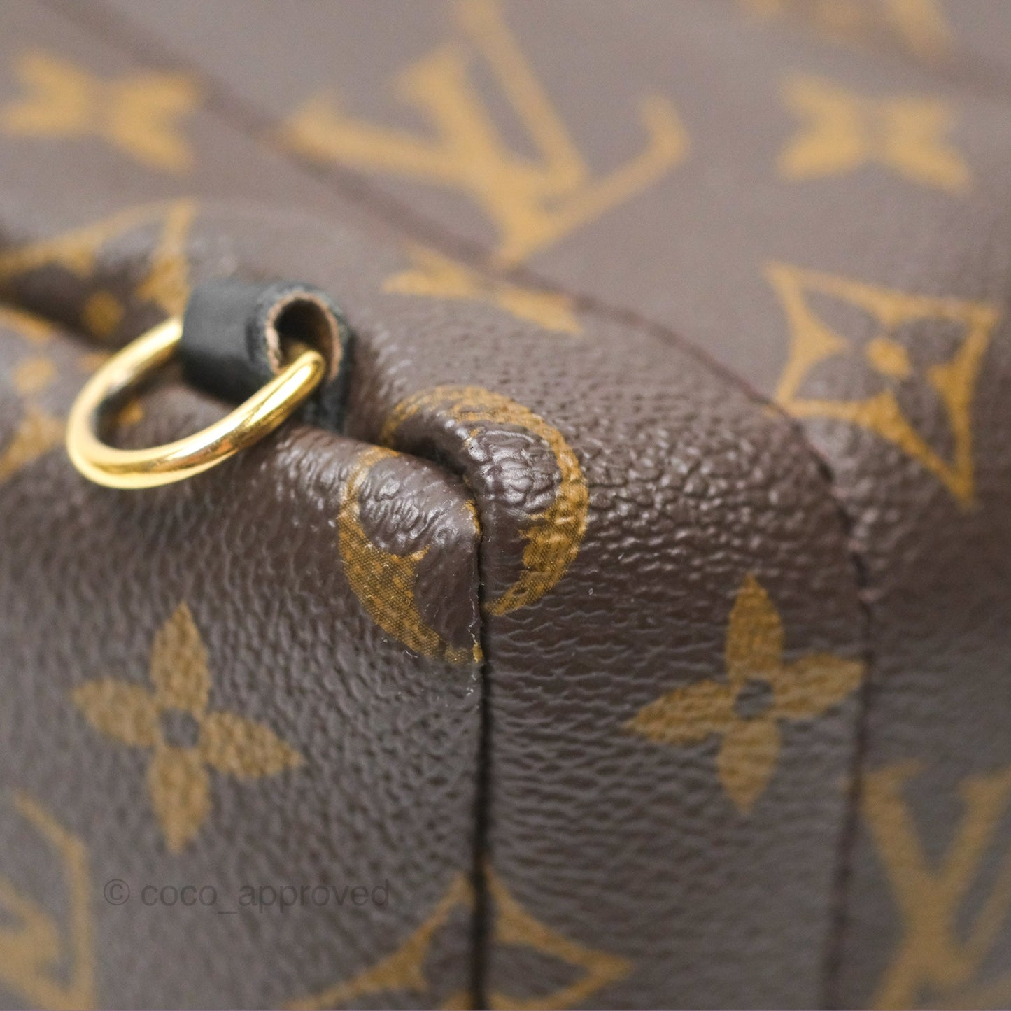 Louis Vuitton Mini Palm Springs Backpack⁣ Monogram