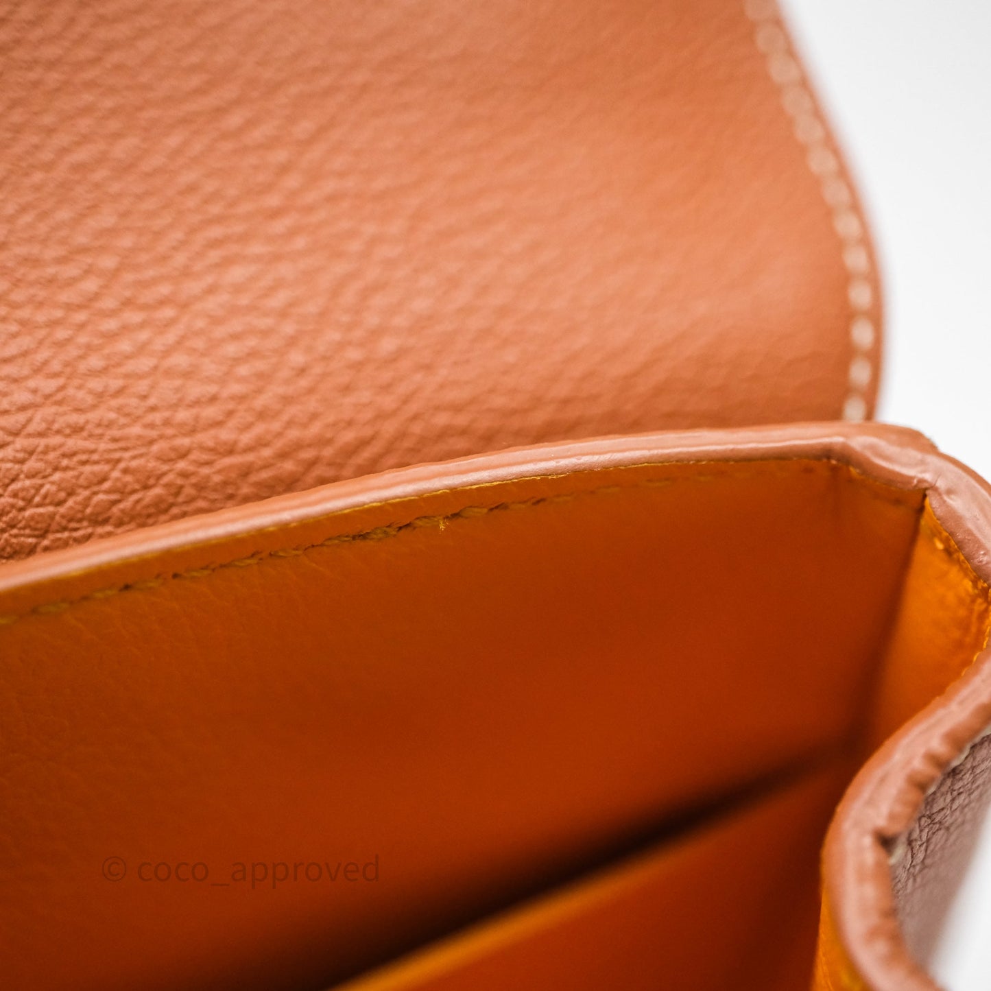 Goyard Saïgon Mini Bag Tan Goyardine Canvas/Chevroches Calfskin