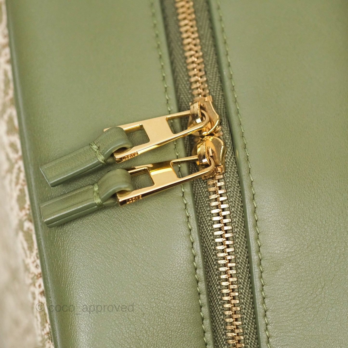 Loewe Amazona 19 Square Green/ Avocado Green in Anagram Jacquard and Calfskin