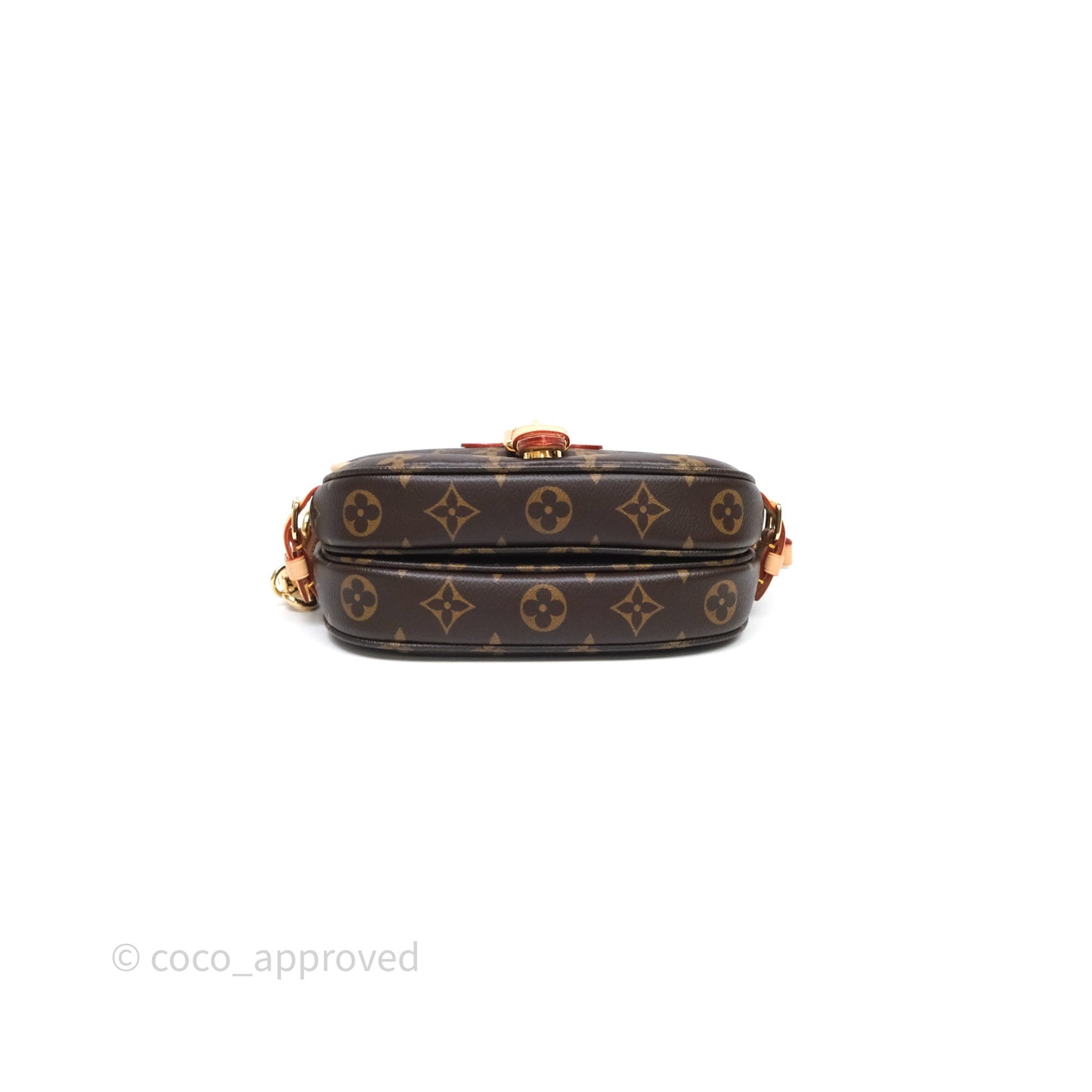 Louis Vuitton Saumur BB Monogram Bag Gold Hardware