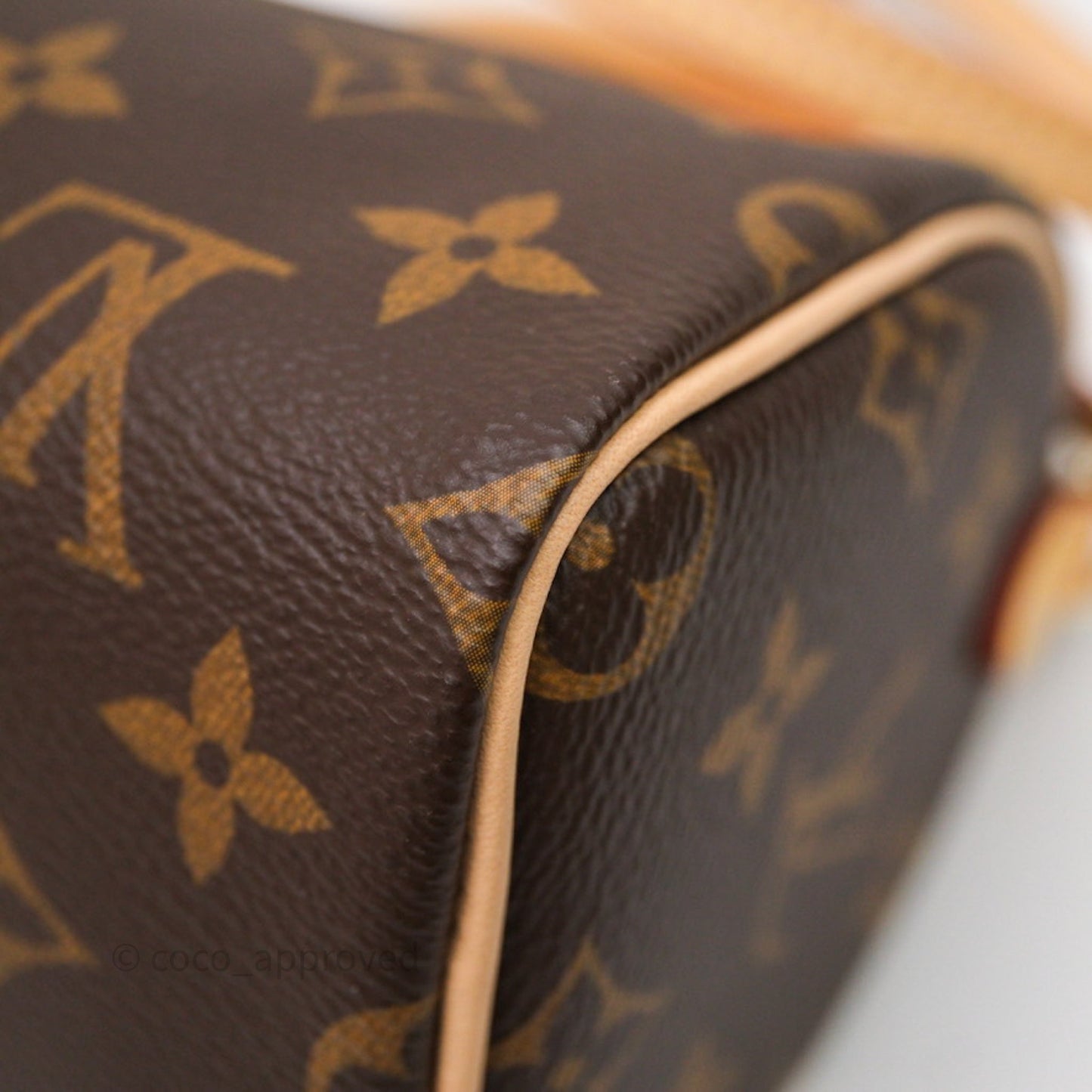 Louis Vuitton Nano Speedy Monogram Canvas