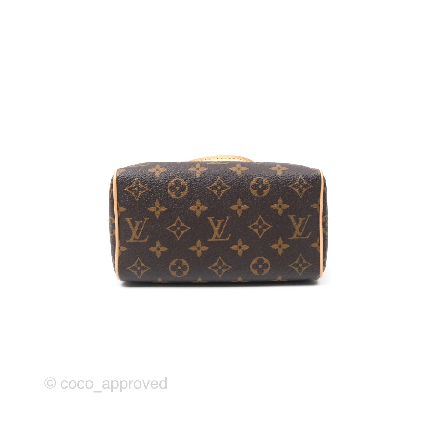 Louis Vuitton Speedy Bandoulière 20 Monogram