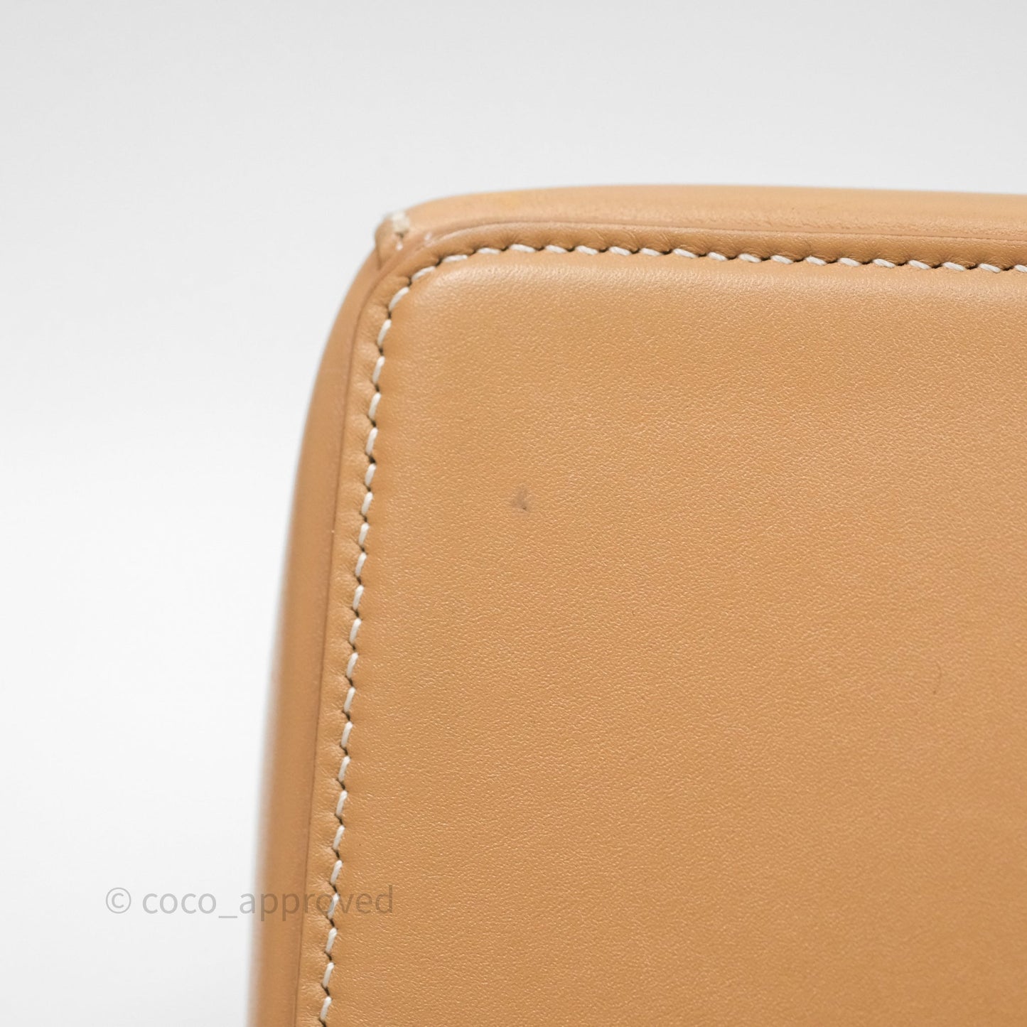 Loro Piana Extra Bag L27 Light Bamboo Calfskin Gold Hardware
