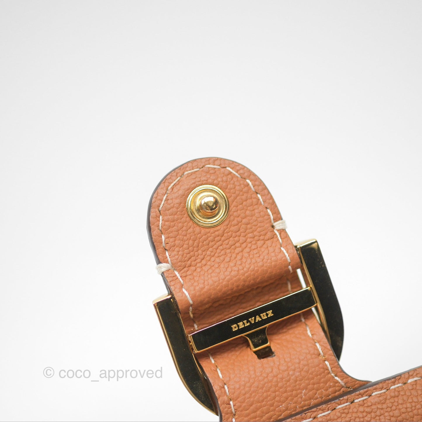 Delvaux Brillant Long Wallet Chain Surpiqué Vegetal Ivory Rodeo Calf