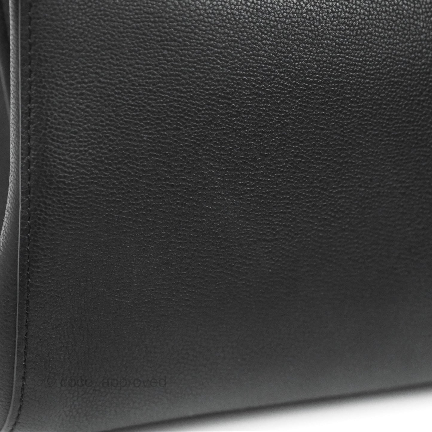 Delvaux Mini Brillant Bag Vegetal Rodeo Black Calf Silver Hardware