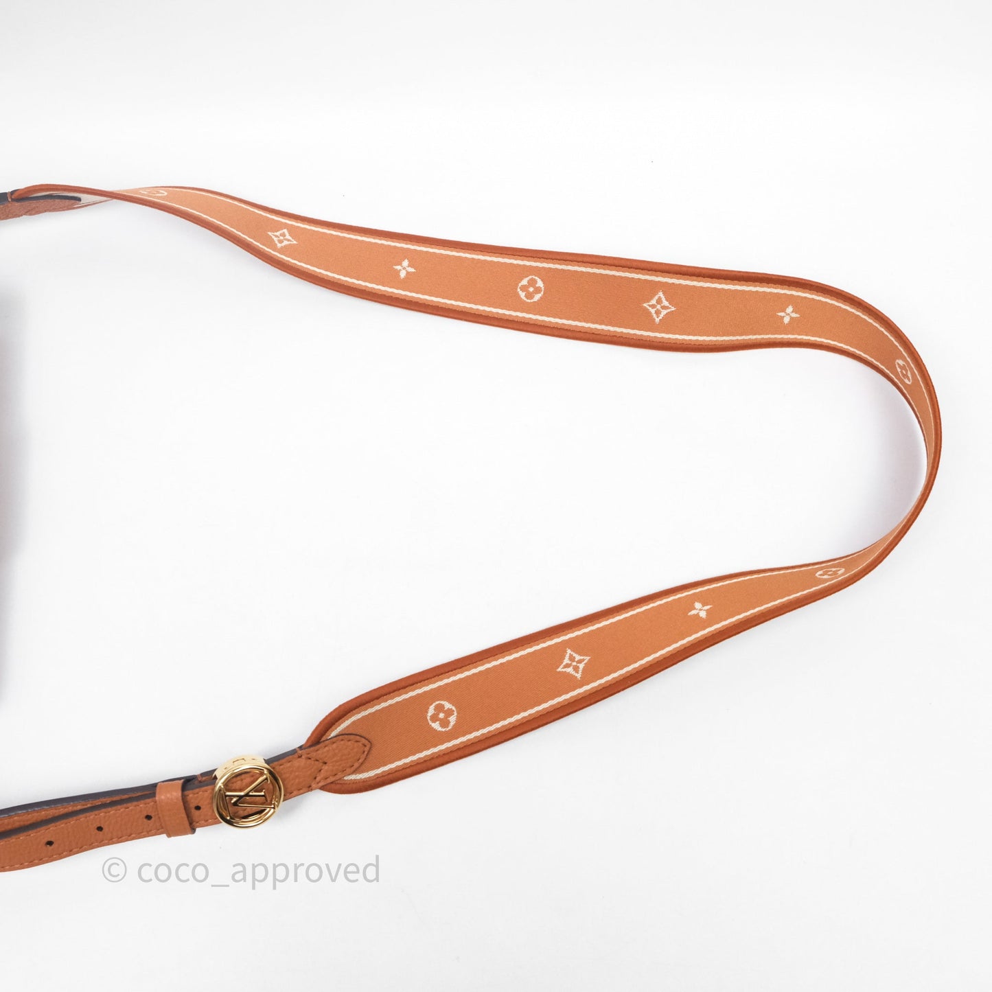 Louis Vuitton Pont 9 Soft PM Brown Grained Calfskin Gold Hardware