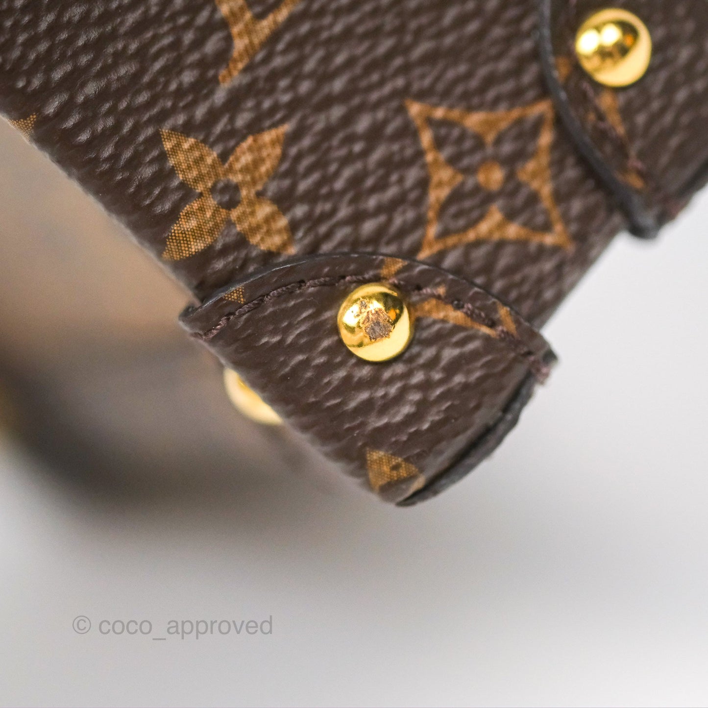 Louis Vuitton Reverse Monogram Pochette Vertical Trunk