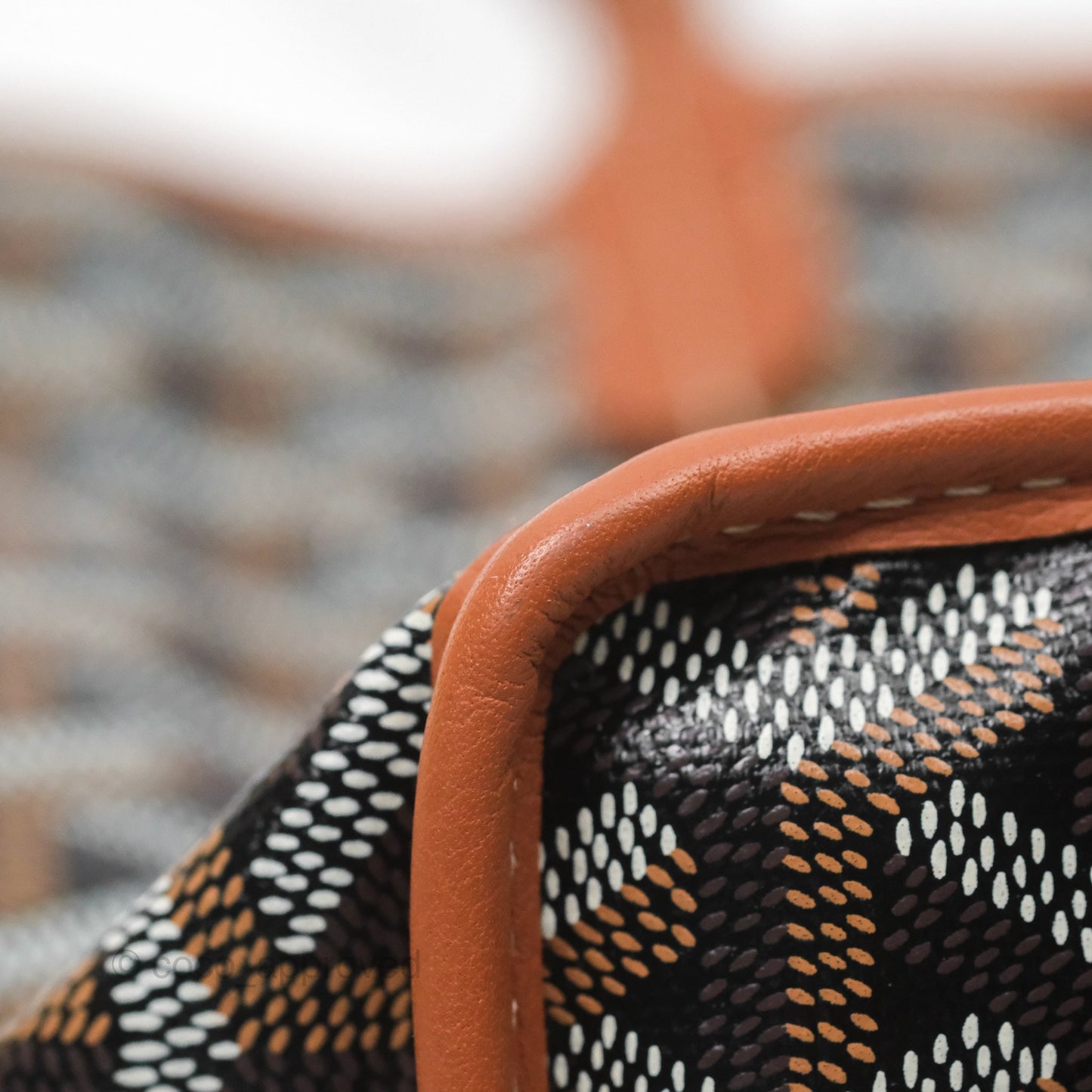 Goyard Anjou Mini Bag Goyardine Canvas Black/ Tan