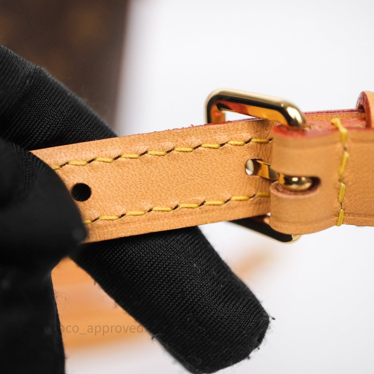 Louis Vuitton Nano Noe Monogram