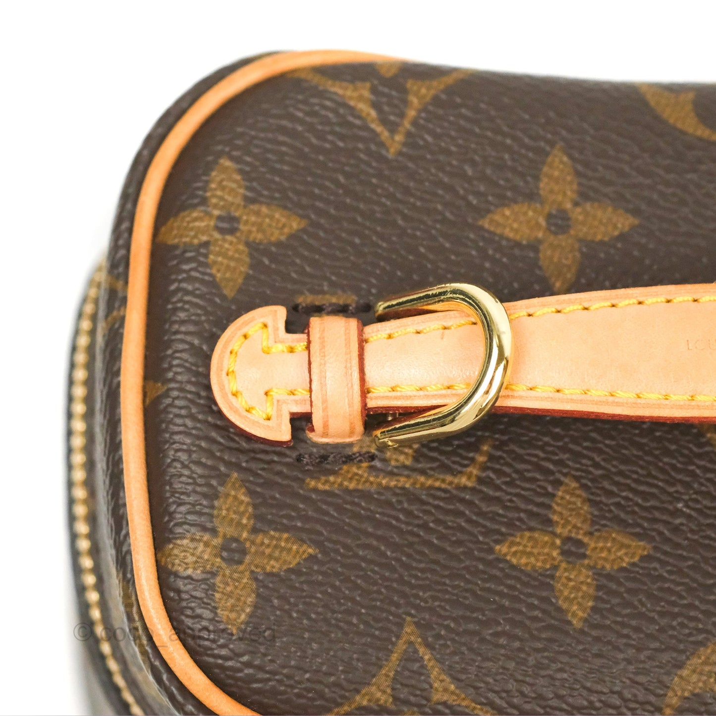 Louis Vuitton Nano Nice Monogram