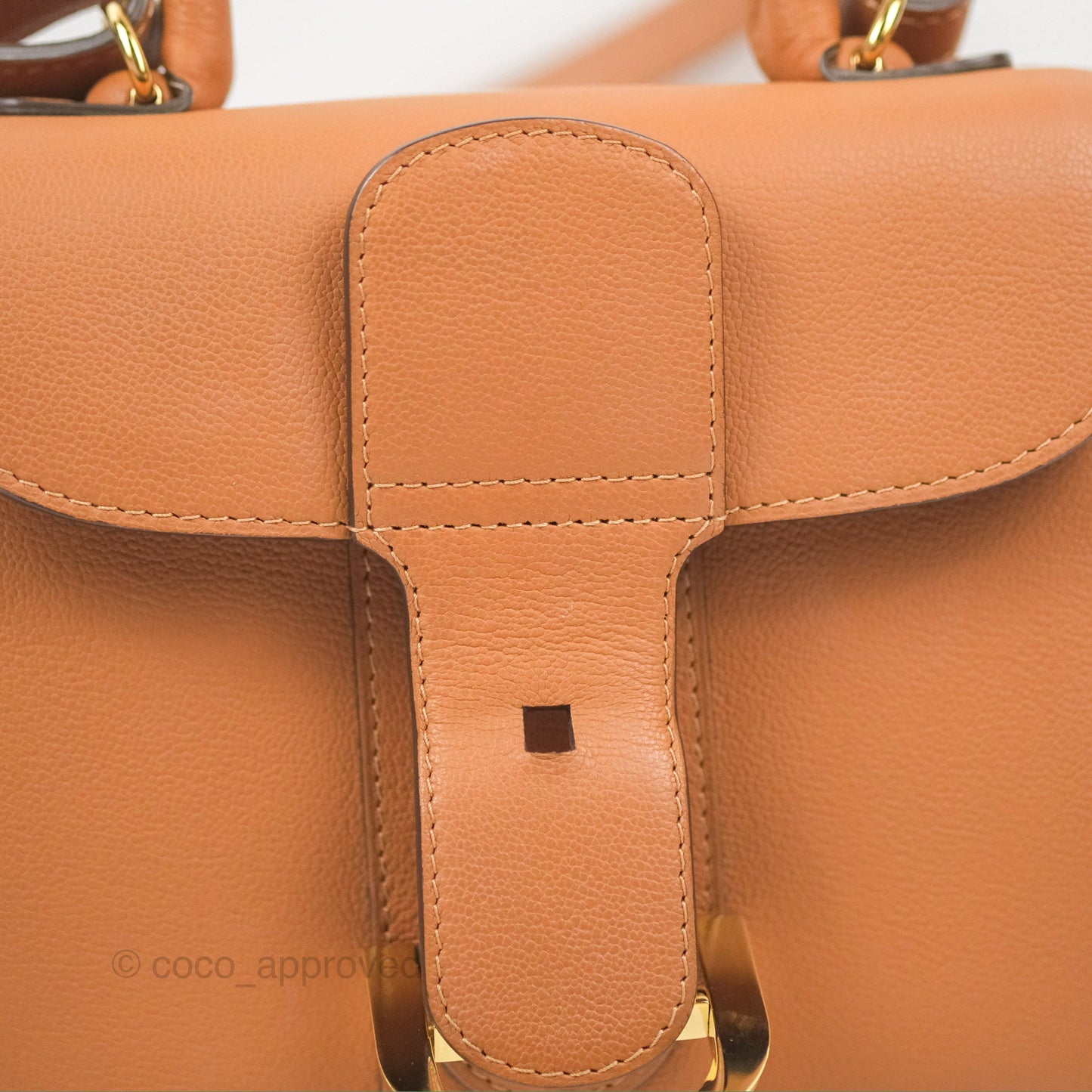 Delvaux Mini Brillant Bag Vegetal Rodeo Calf Gold Hardware