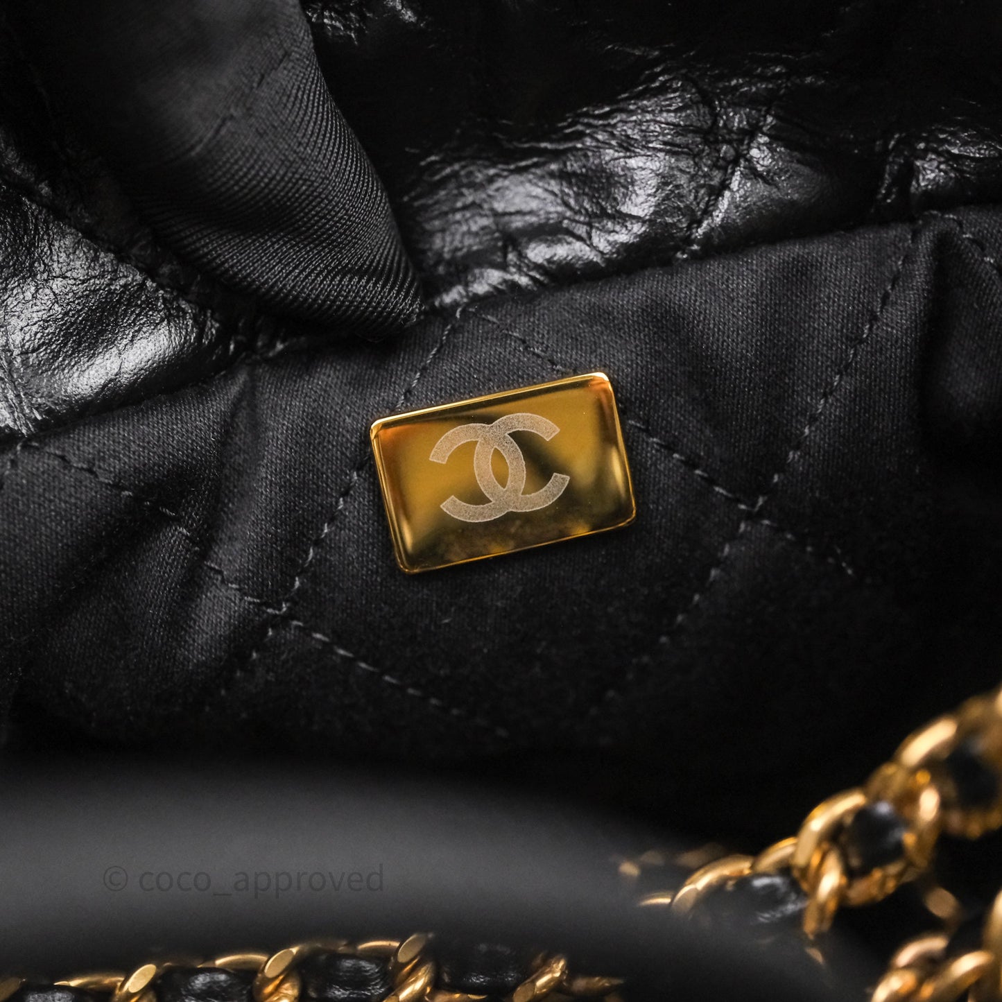 Chanel 22 Mini Bag Black Crumpled Calfskin Aged Gold Hardware