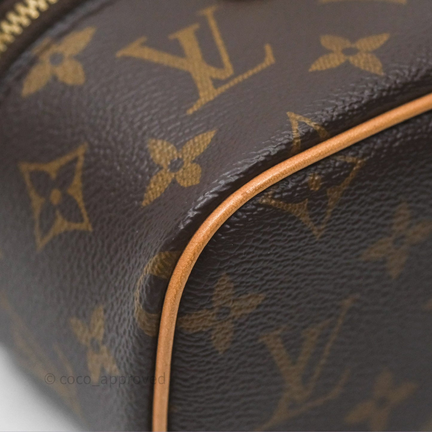 Louis Vuitton Monogram Nice Nano