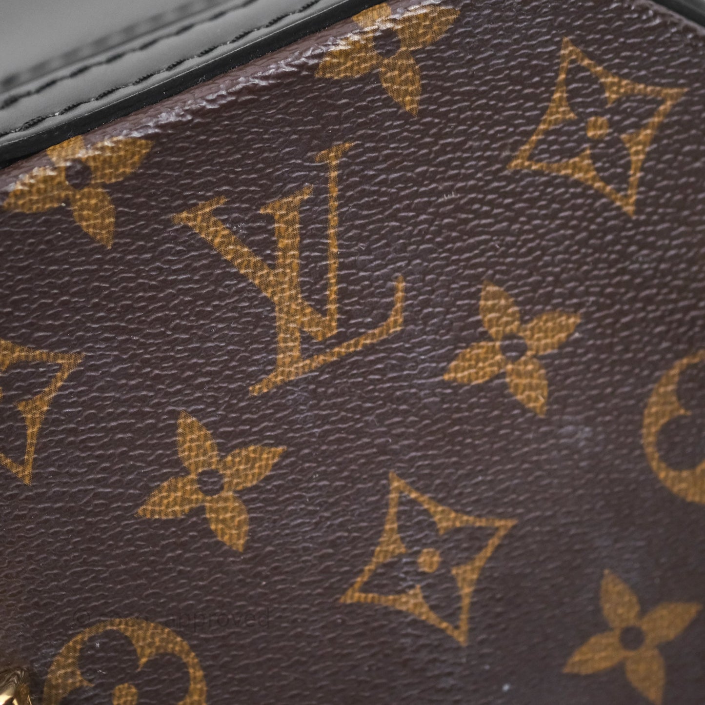 Louis Vuitton Monogram Canvas Reverse Cannes Bag