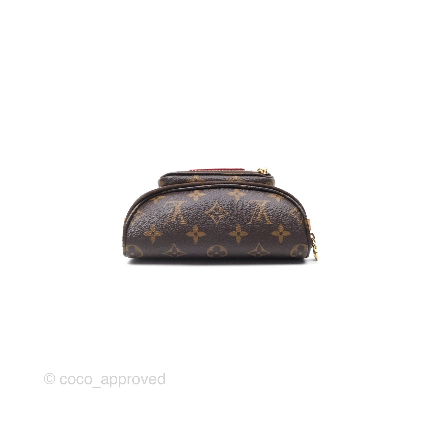 Louis Vitton Mini Bumbag in Monogram Canvas