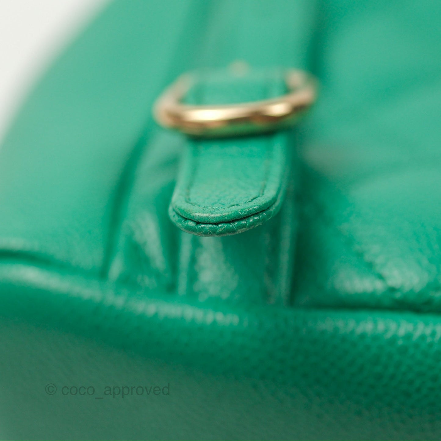 Chanel Duma Backpack Small Green Caviar Gold Hardware 23P