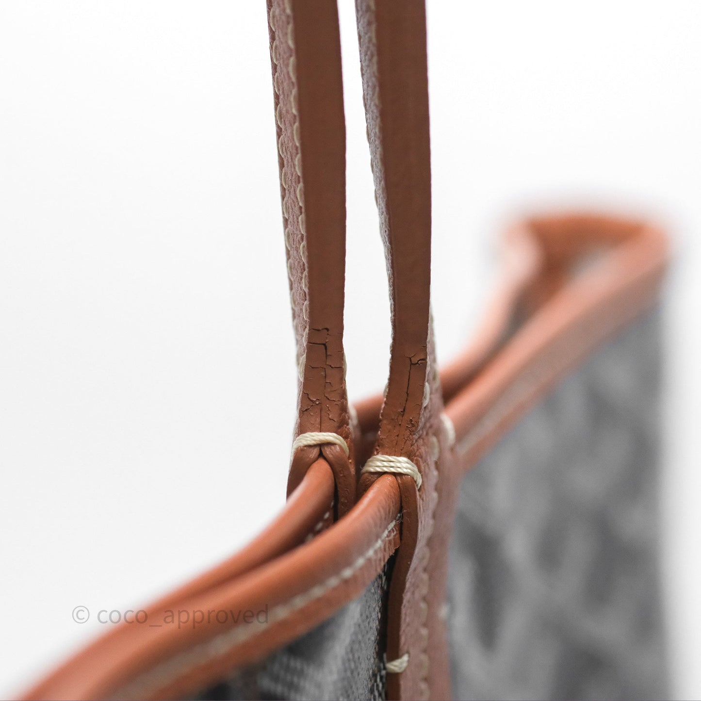 Goyard Saint Louis Tote PM⁣⁣⁣⁣⁣⁣⁣⁣⁣⁣⁣⁣⁣⁣⁣⁣⁣⁣⁣⁣ Black/Tan
