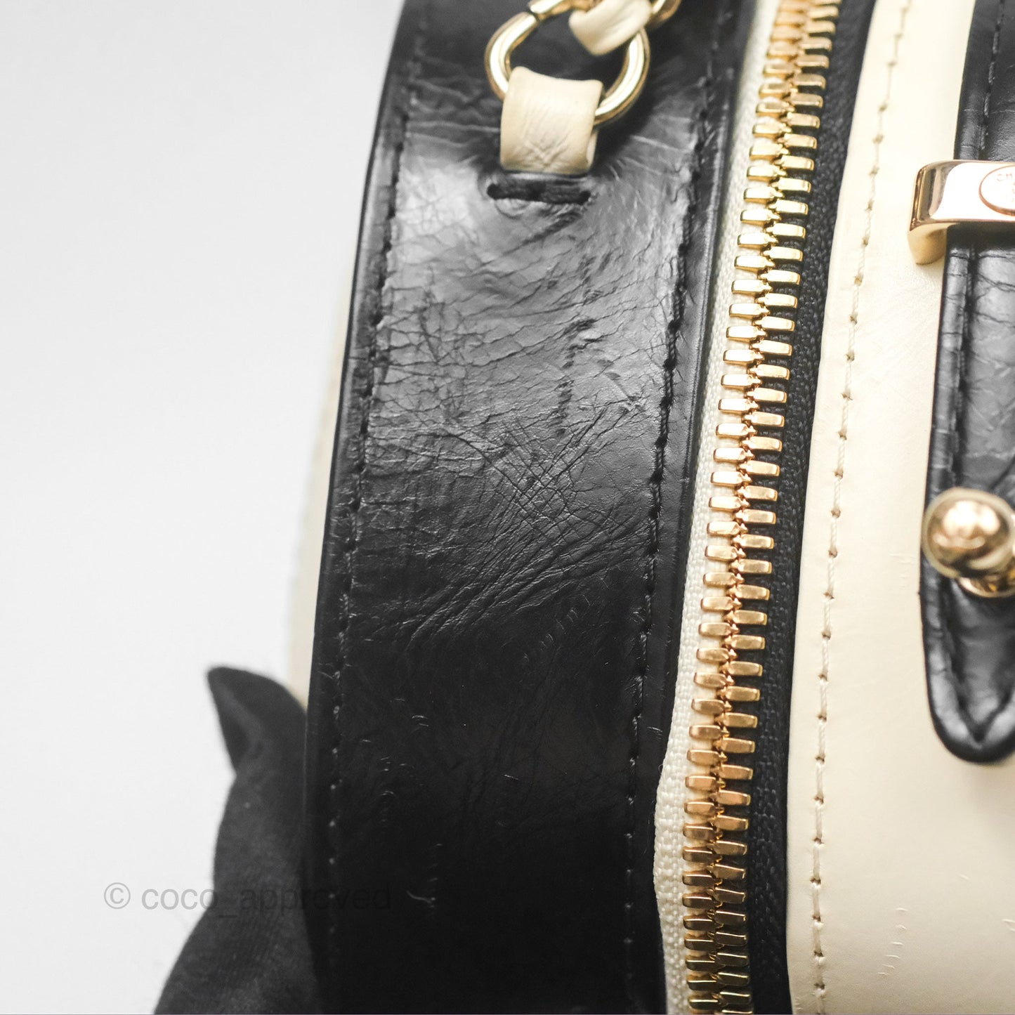 Chanel Camera Case Bag Black/White Calfskin Gold Hardware