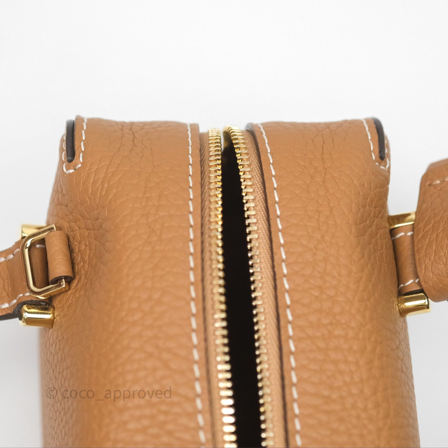 Delvaux Cool Box Nano Taurillon Soft Grained Calfskin Vegetal Ivory Gold Hardware