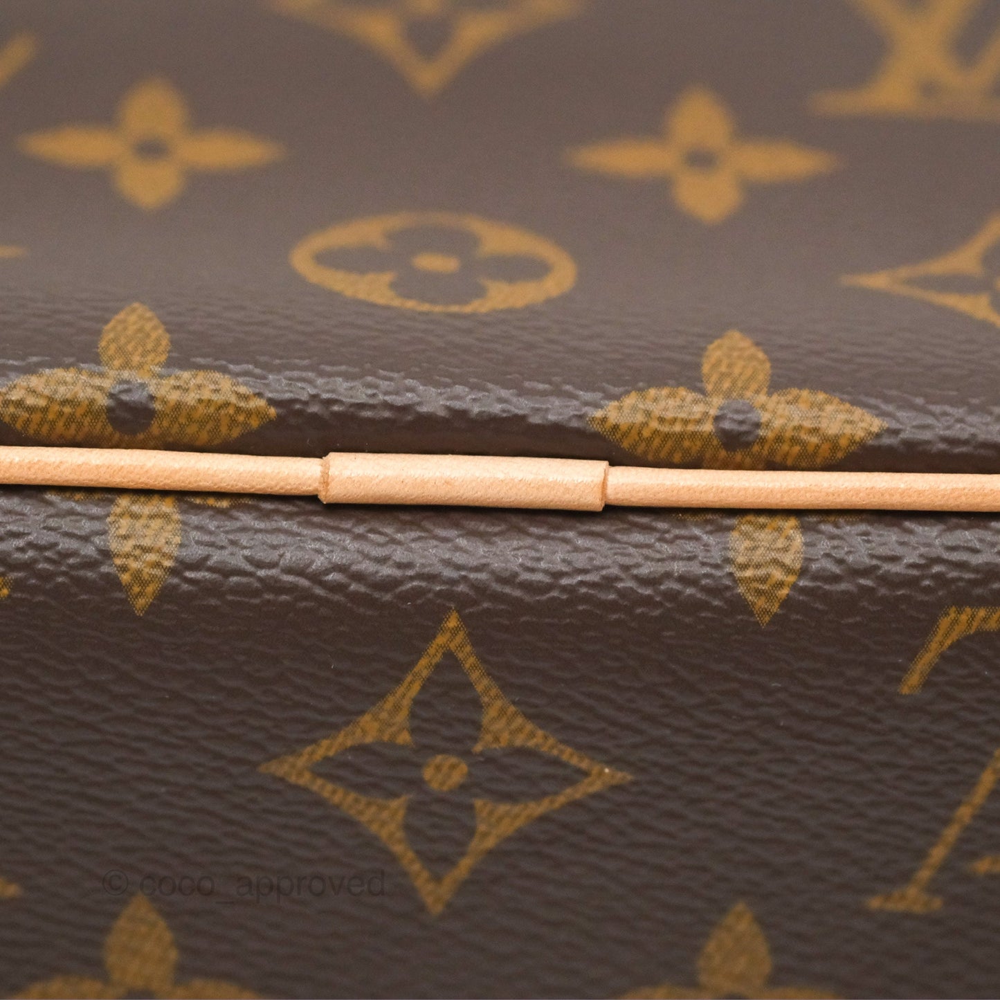 Louis Vuitton Monogram Nice Mini