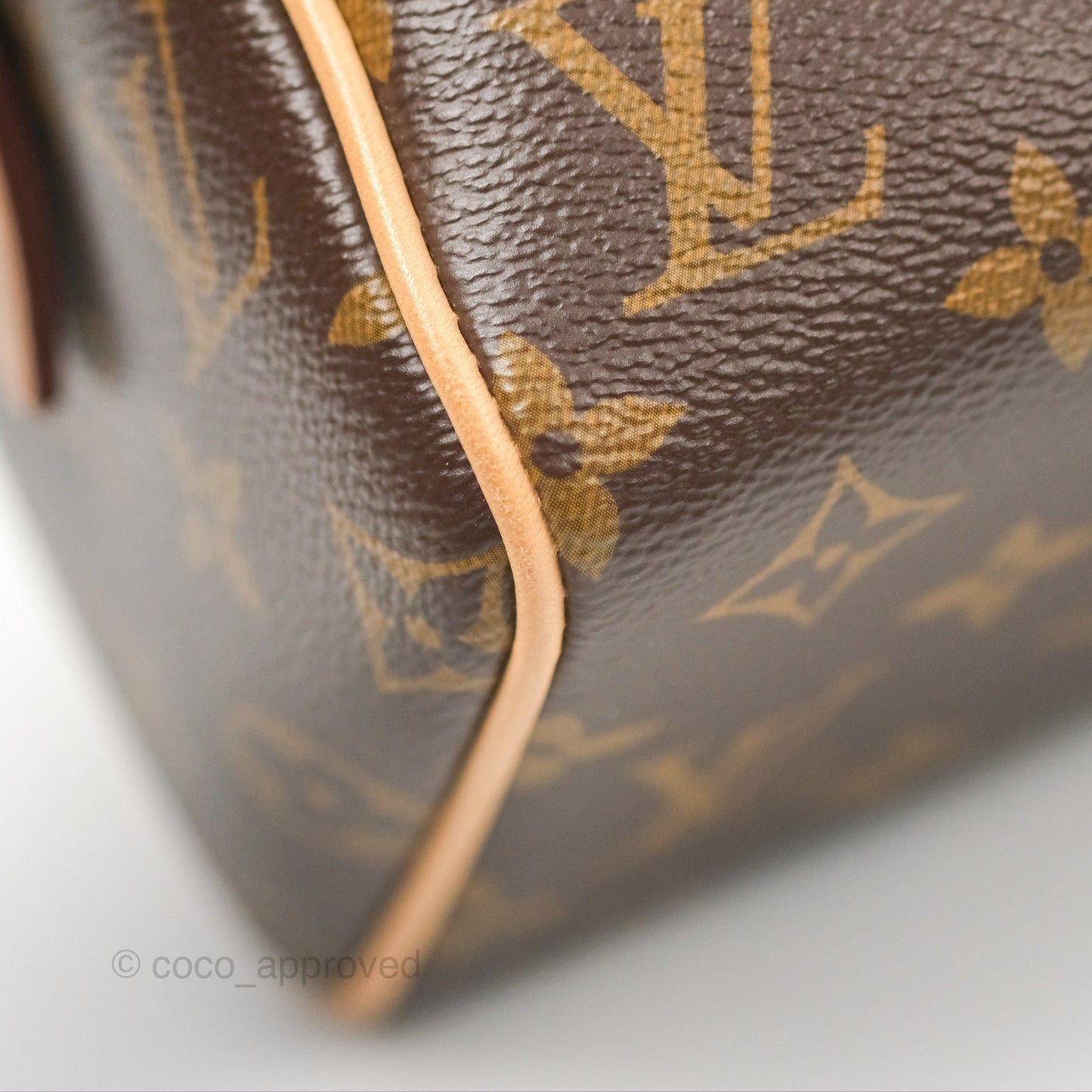 Louis Vuitton Speedy Bandoulière 20 Monogram