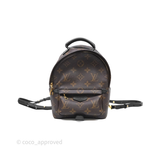 Louis Vuitton Mini Palm Springs Backpack⁣ Monogram