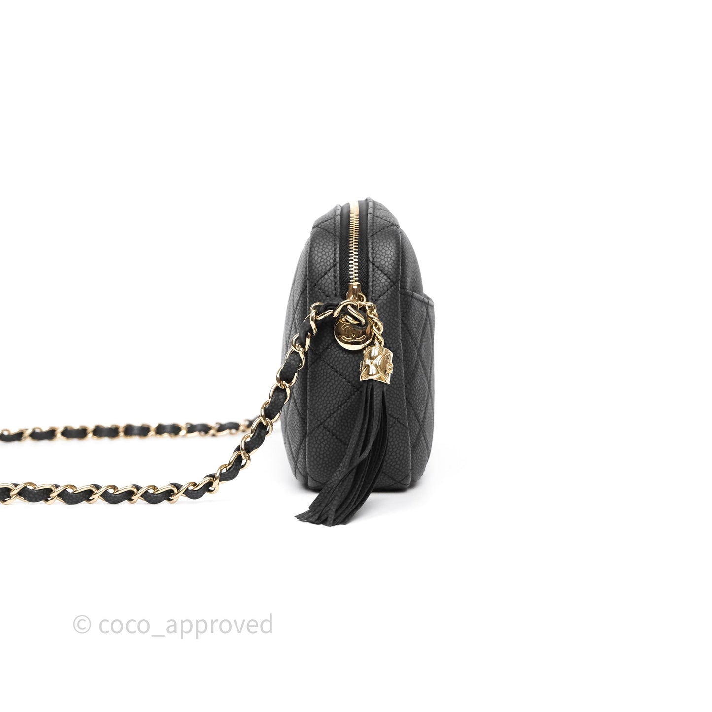 Chanel Camera Bag Black Matte Caviar Gold Hardware