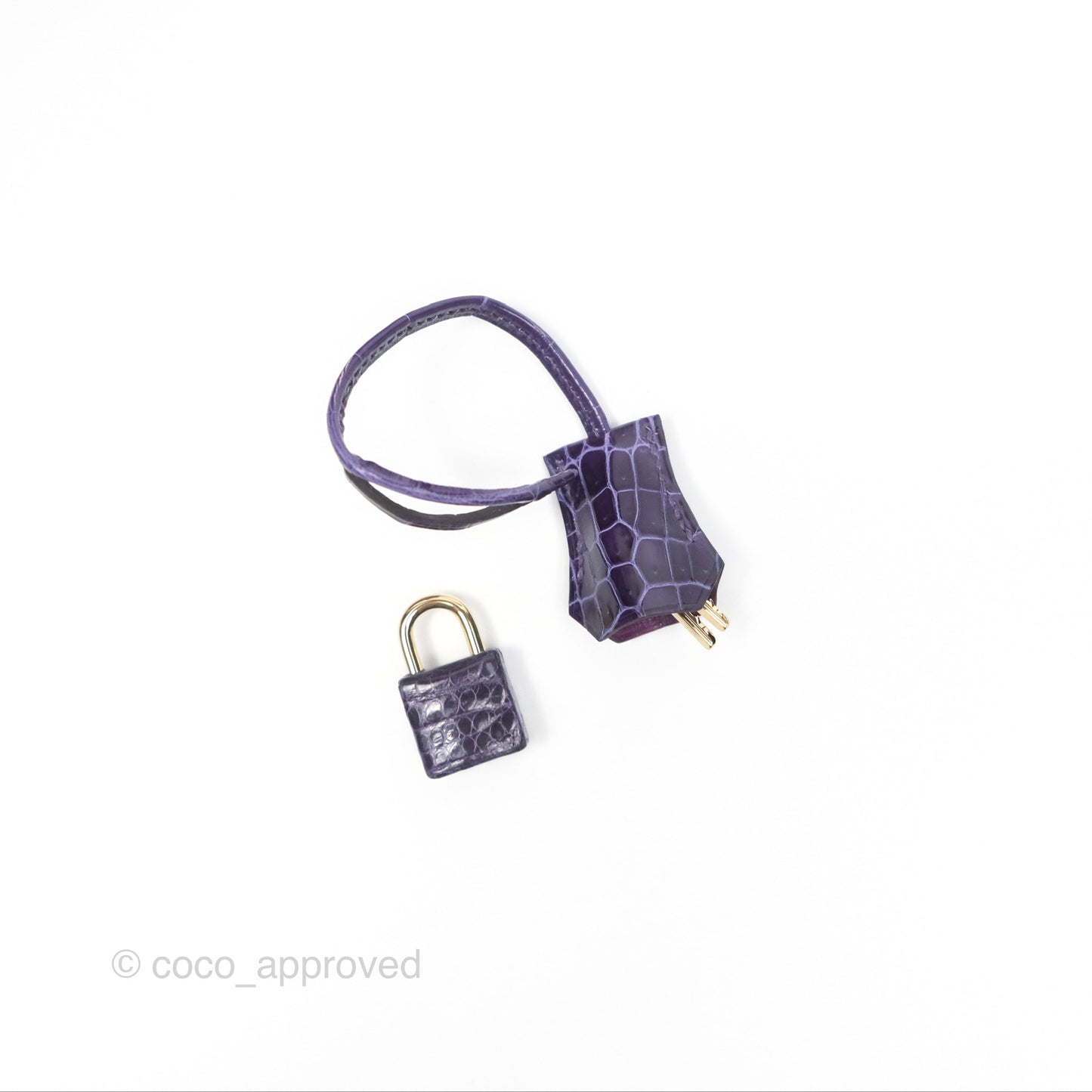 Hermès Kelly 25 Sellier Touch Anemone/ Amethyste Madame/ Croc Gold Hardware