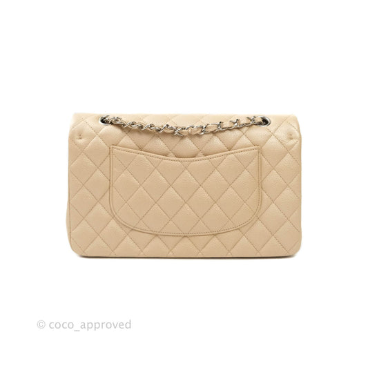 Chanel M/L Medium Double Flap Bag Iridescent Beige Caviar Silver Hardware