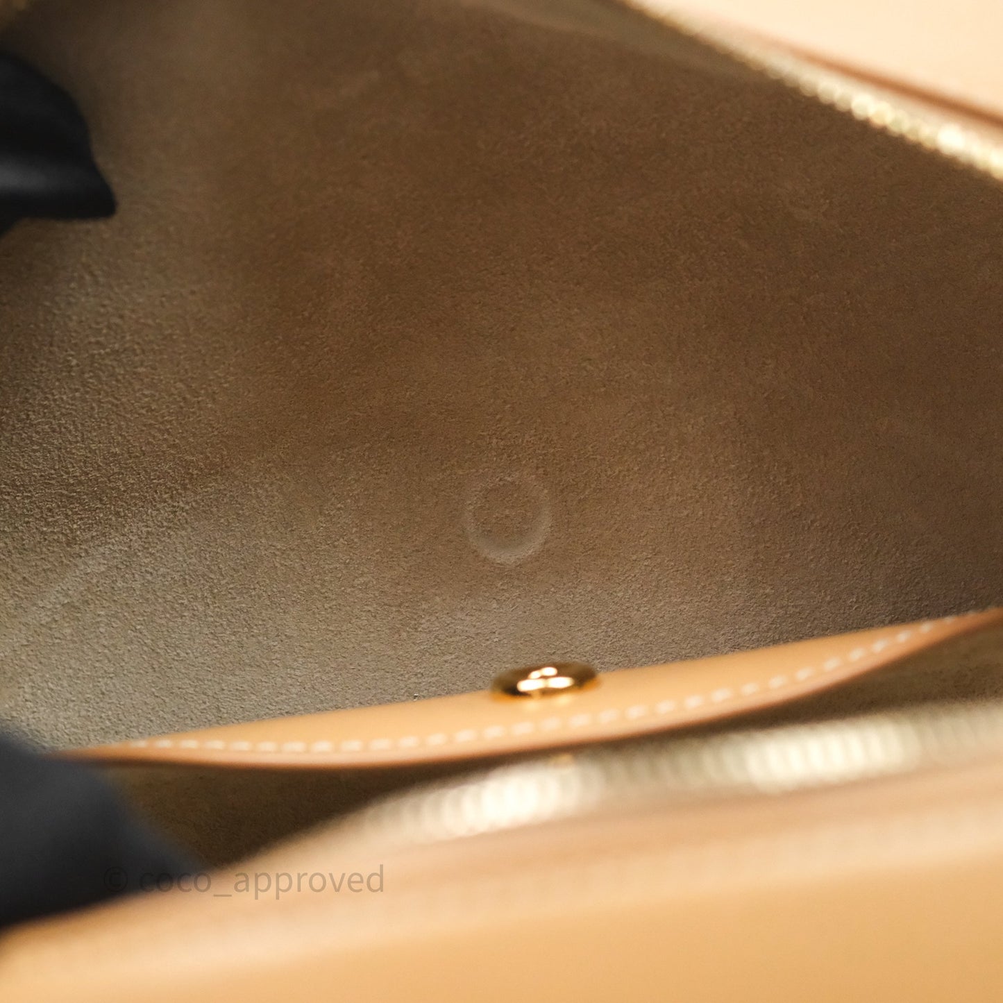 Loro Piana Extra Bag L27 Light Bamboo Calfskin Gold Hardware