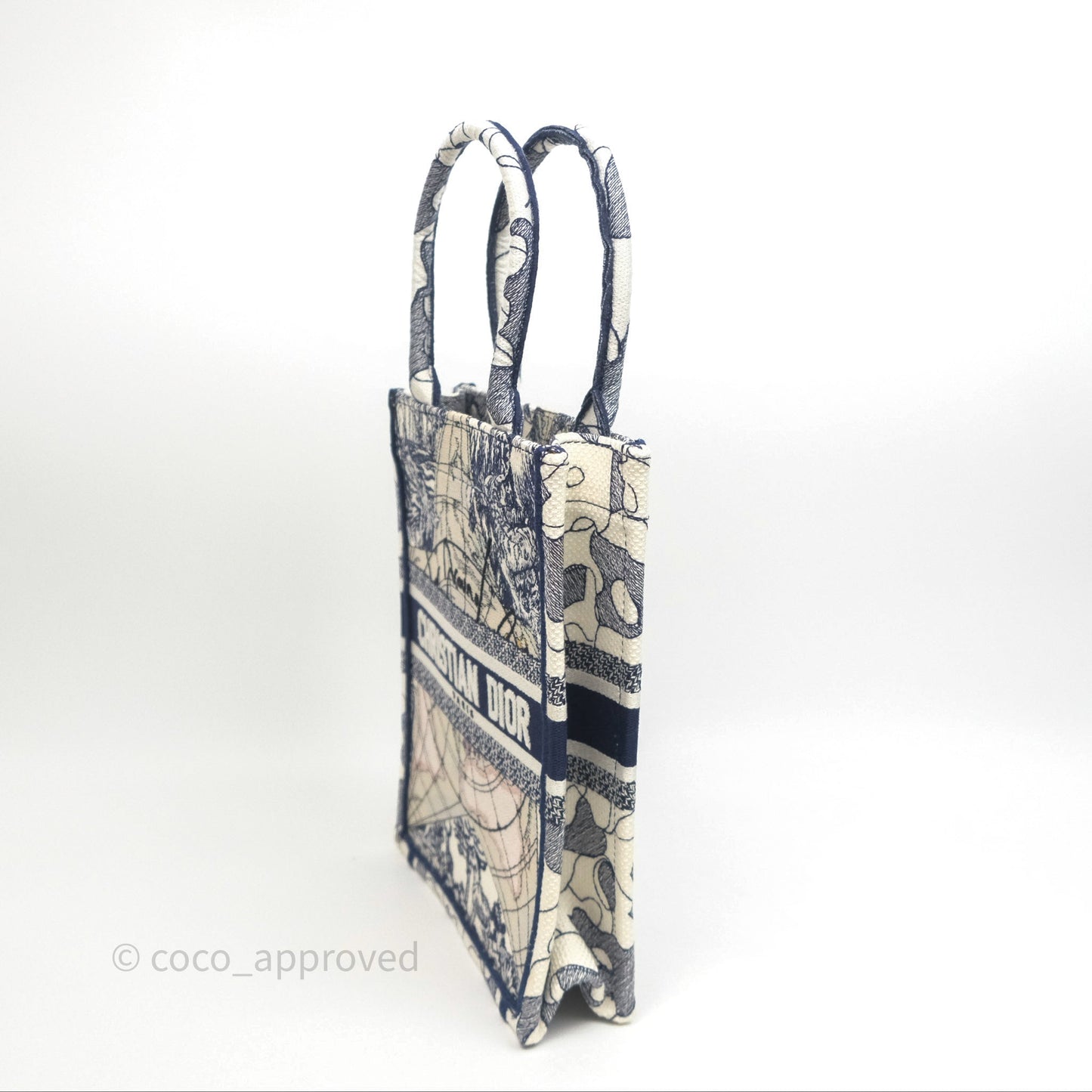 Dior Around The World Vertical Book Tote Blue White