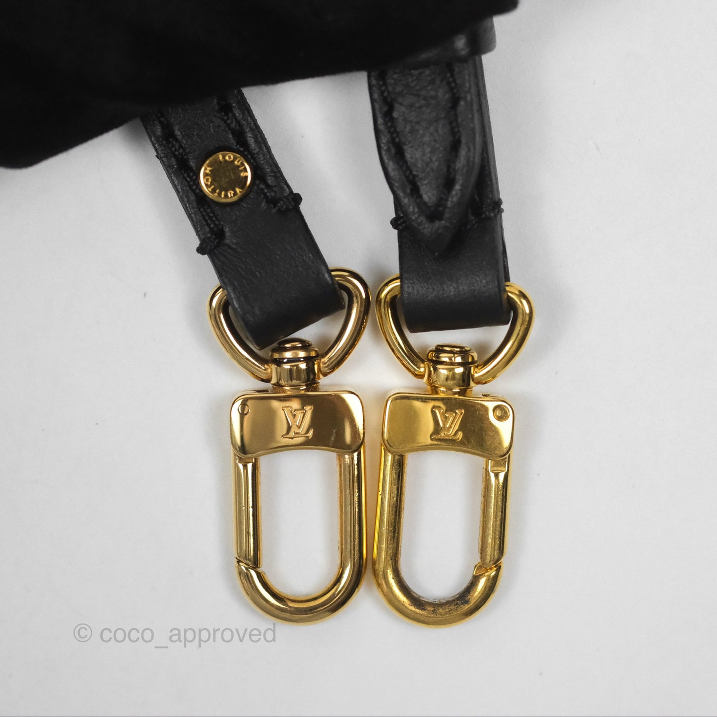Louis Vuitton Monogram Mini Palm Springs Backpack⁣