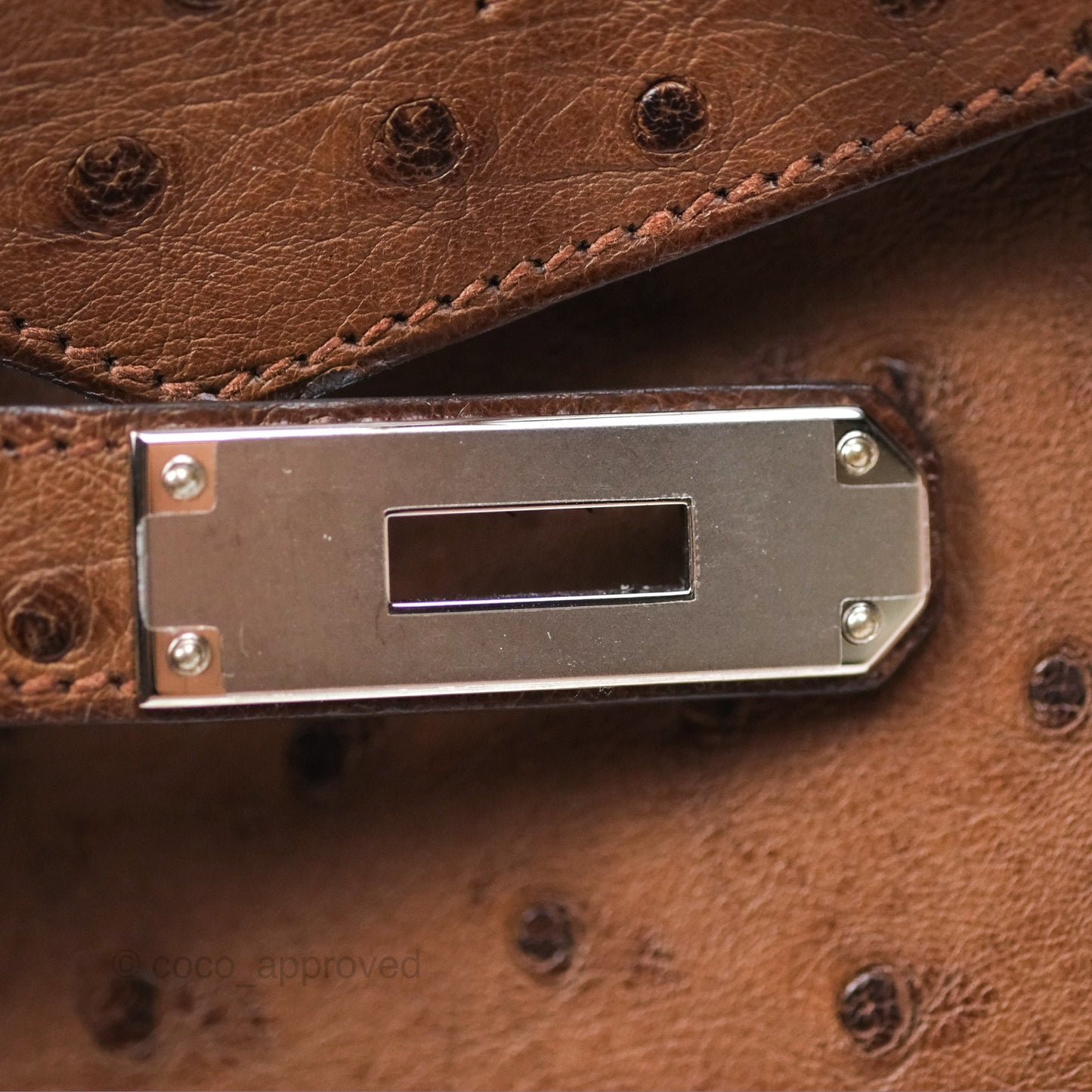 Hermès Birkin Retourne 30 Dark Brown Ostrich Palladium Hardware
