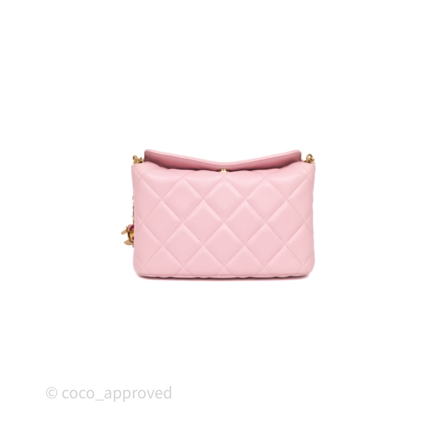 Chanel Quilted Hobo With CC Adjustable Chain Pink Lambskin Aged Gold Hardware