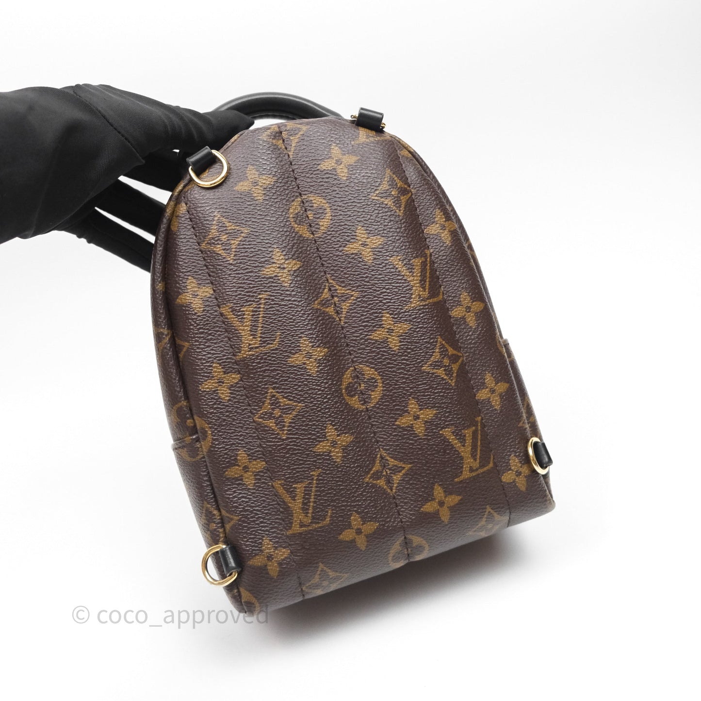 Louis Vuitton Mini Palm Springs Backpack⁣ Monogram