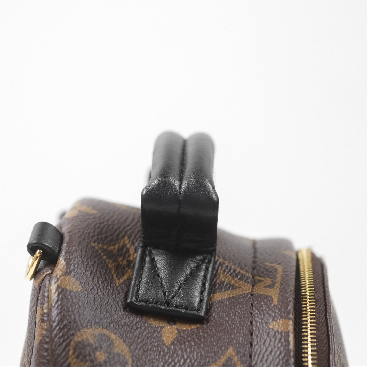 Louis Vuitton Monogram Mini Palm Springs Backpack⁣