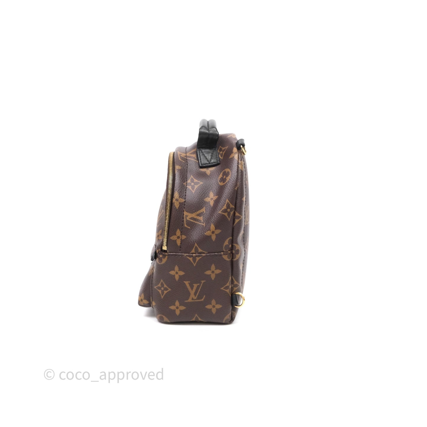 Louis Vuitton Mini Palm Springs Backpack⁣ Monogram