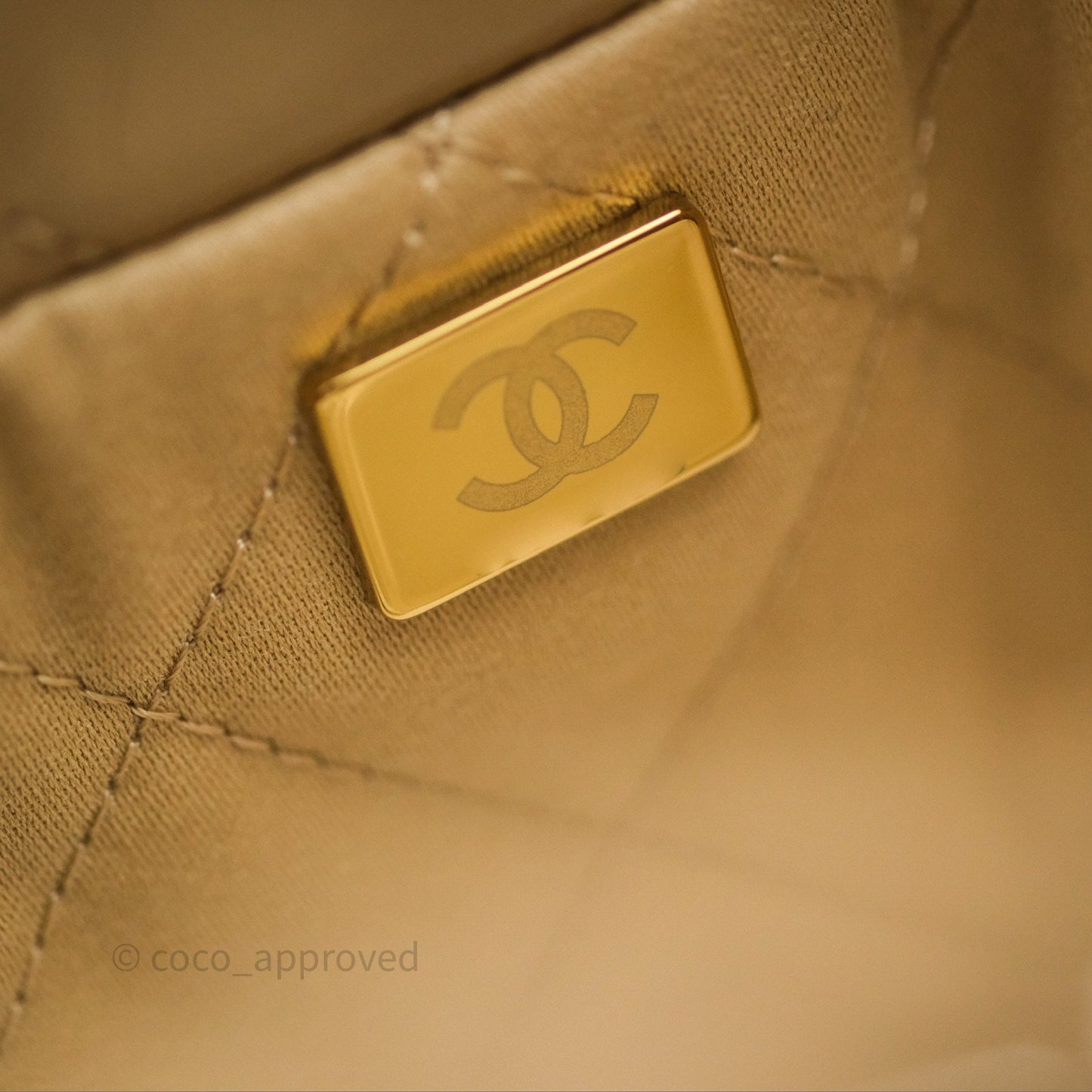 Chanel 22 Mini Bag Beige Shiny Crumpled Calfskin